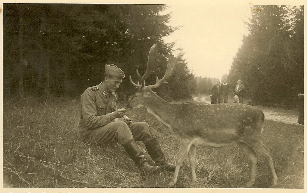 scan0020c.jpg