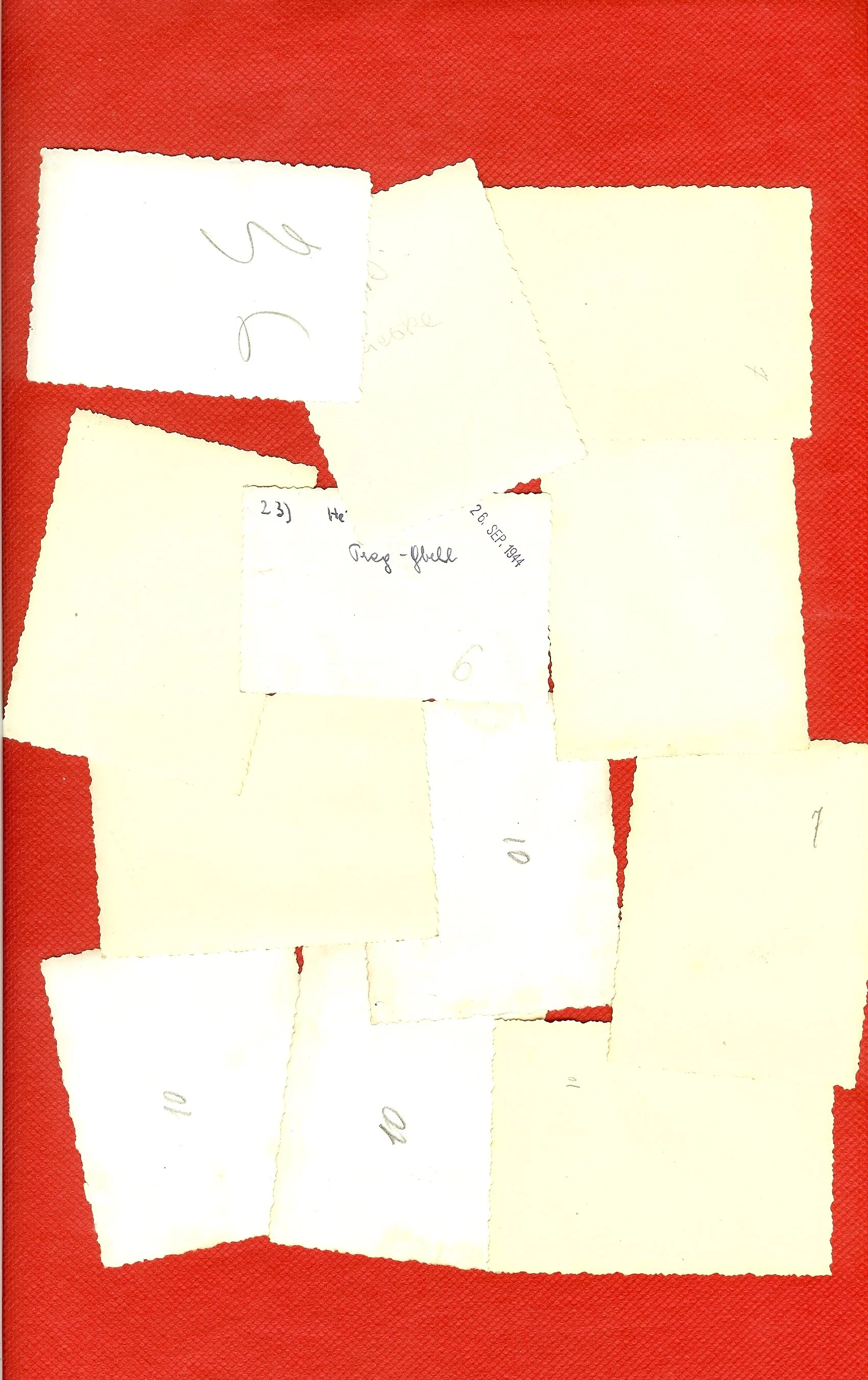 scan0012g.jpg