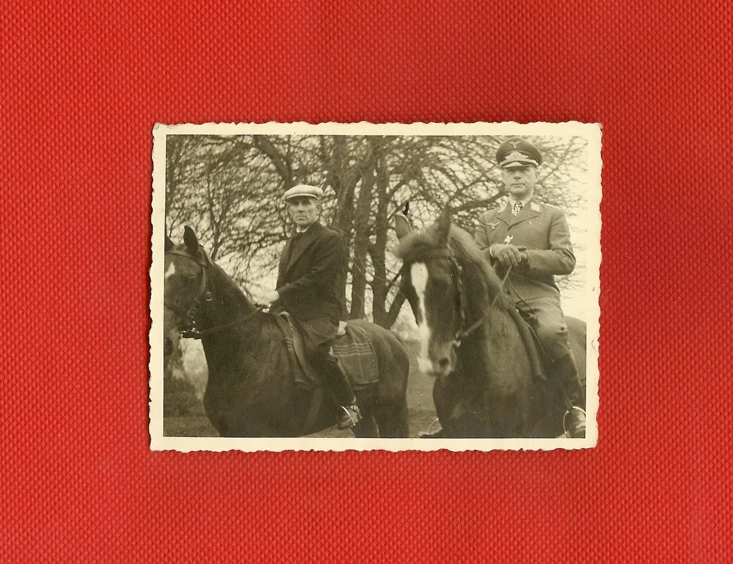 scan0012.jpg
