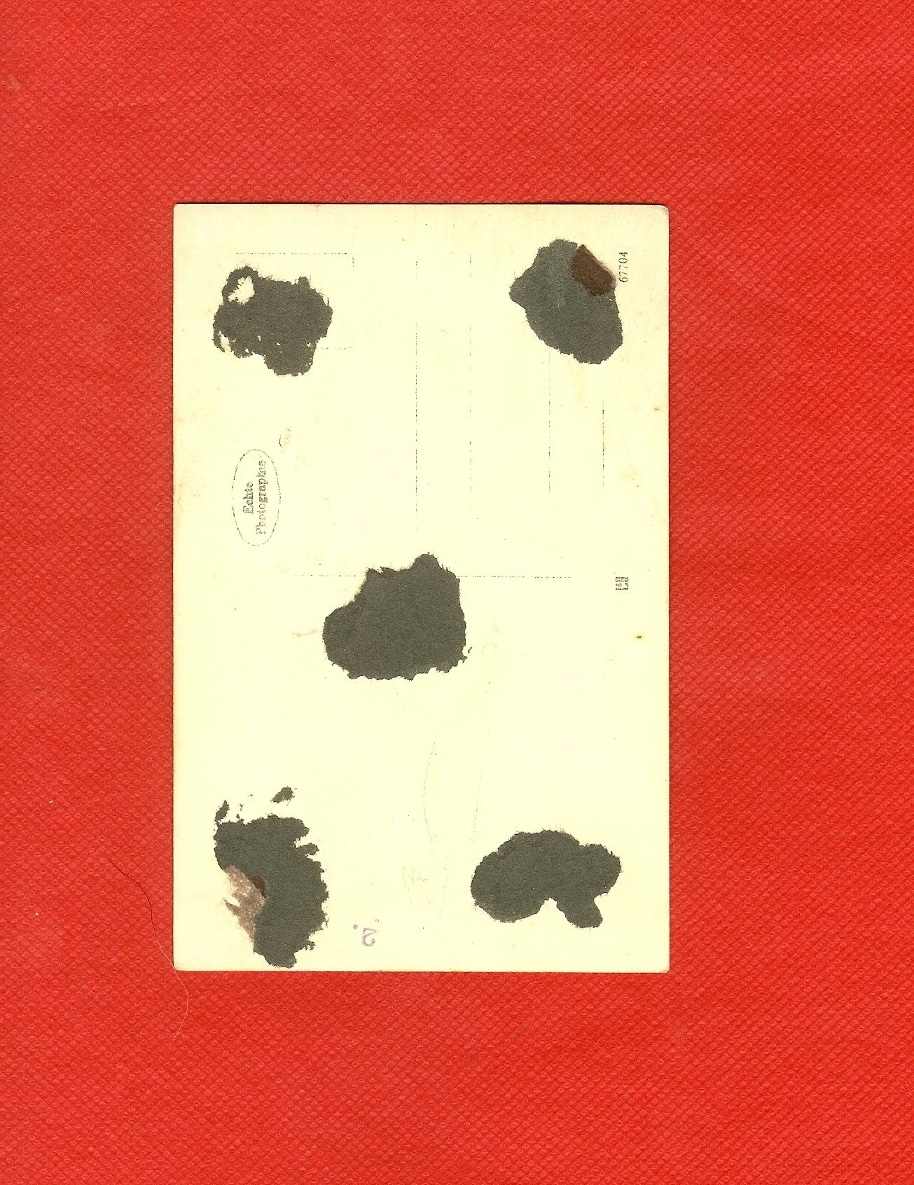 scan0010c.jpg