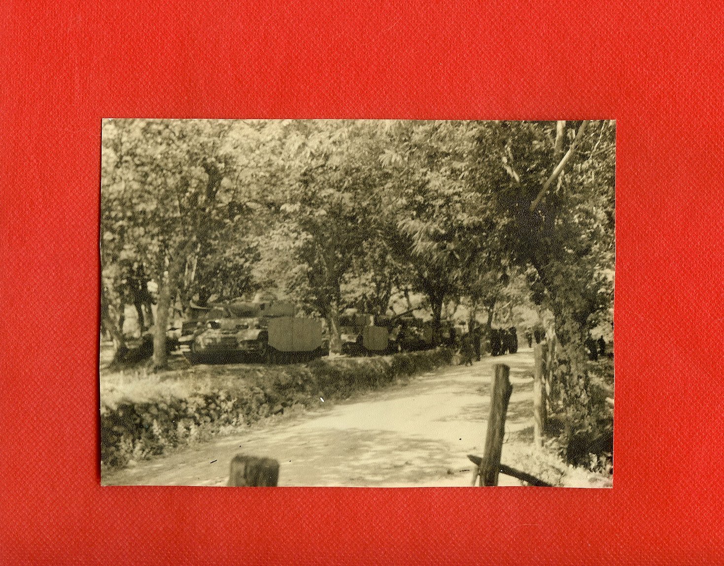 scan0011.jpg