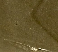 scan0011b.jpg