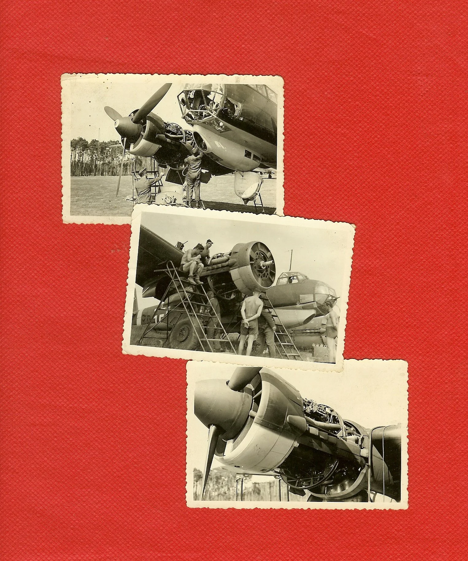 scan0020.jpg