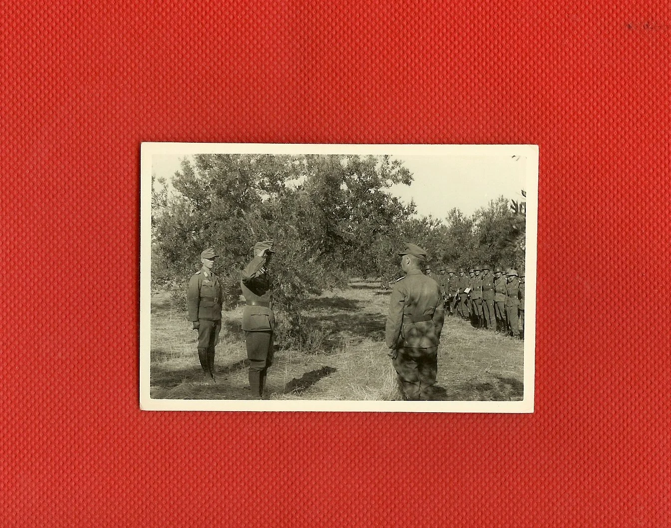 scan0017.jpg