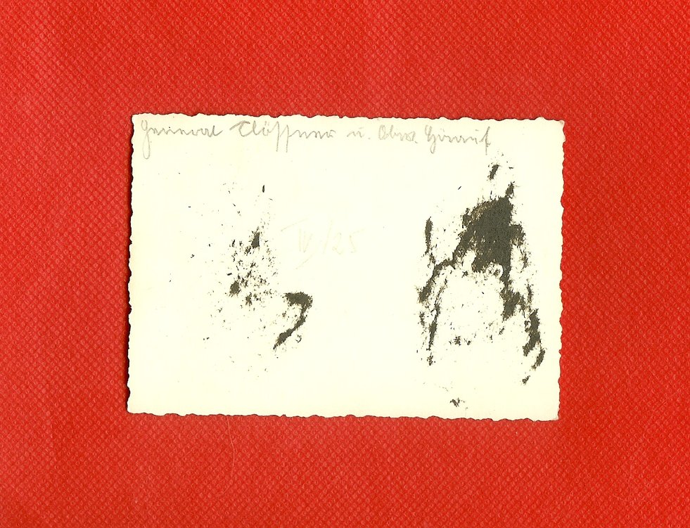 scan0006c.jpg