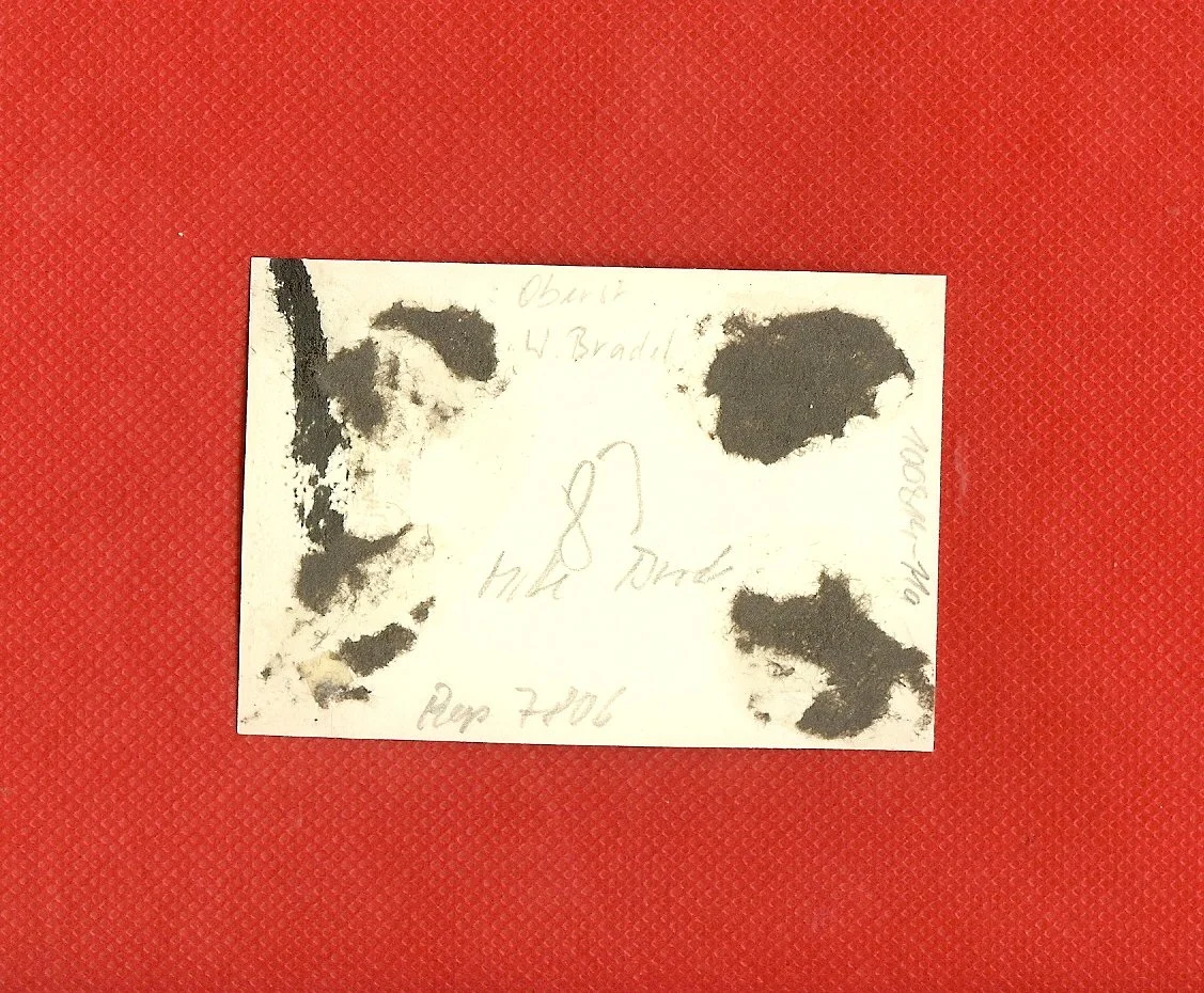 scan0021c.jpg