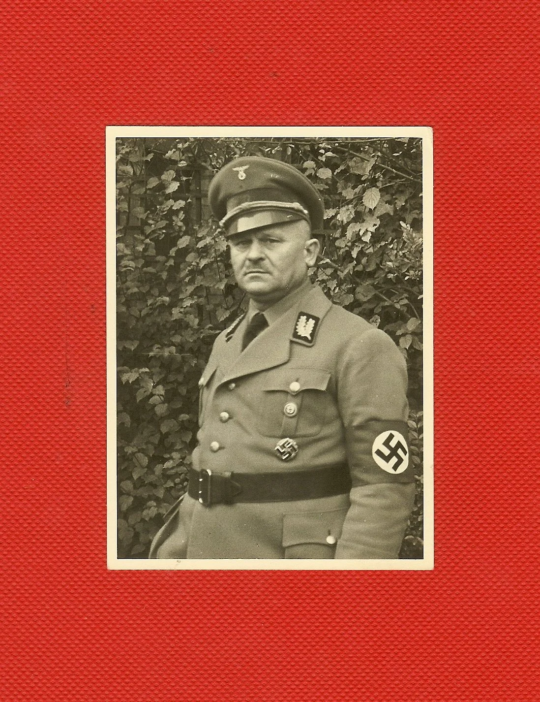 scan0030.jpg
