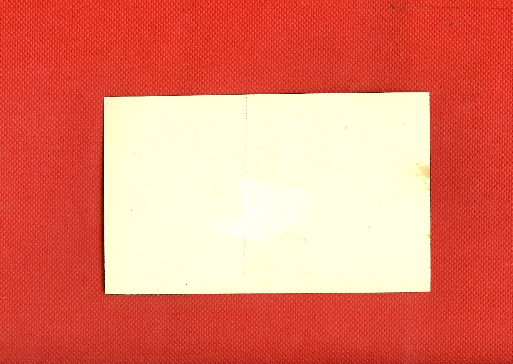scan0024e.jpg