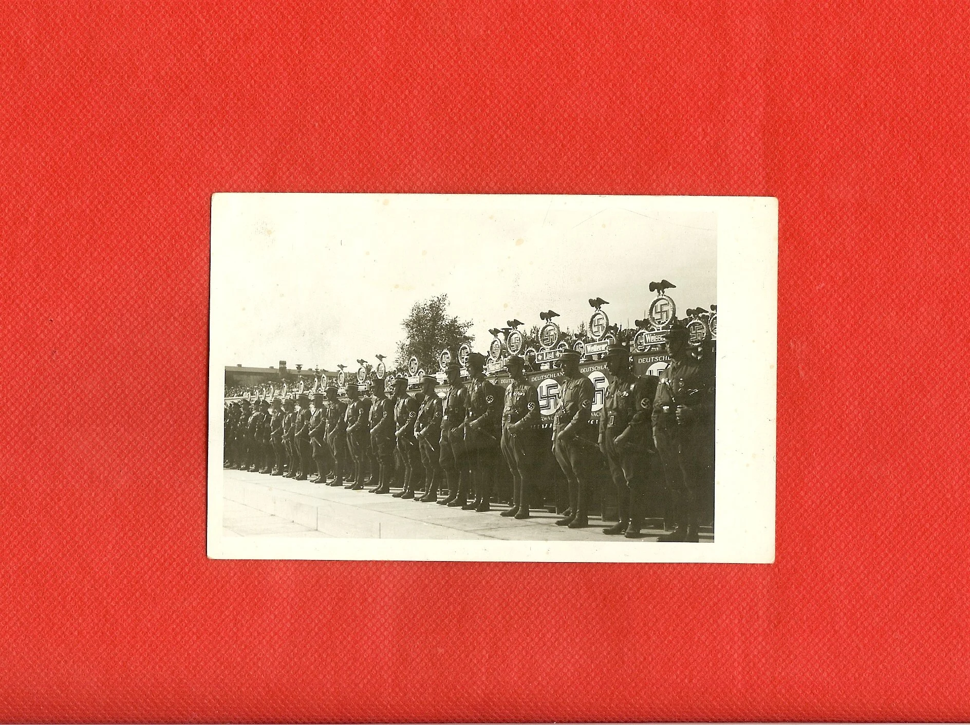 scan0014.jpg