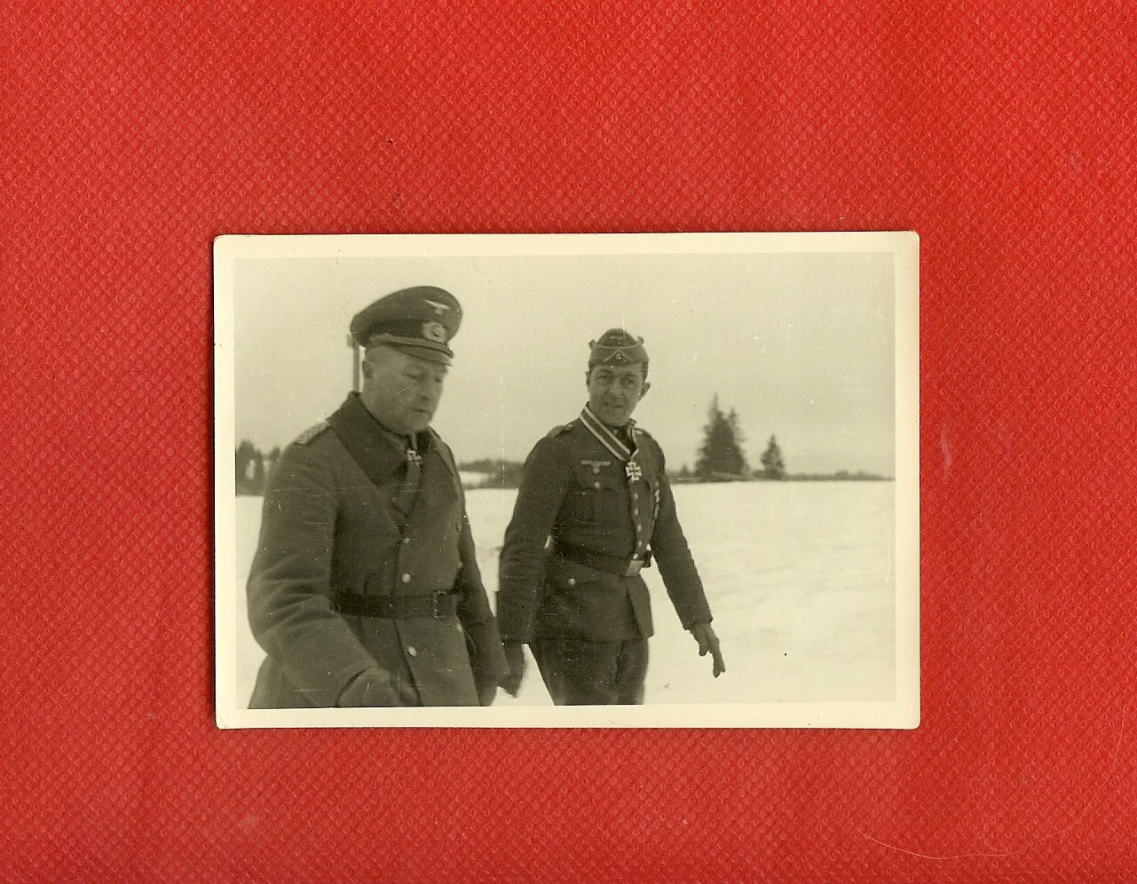 scan0001.jpg