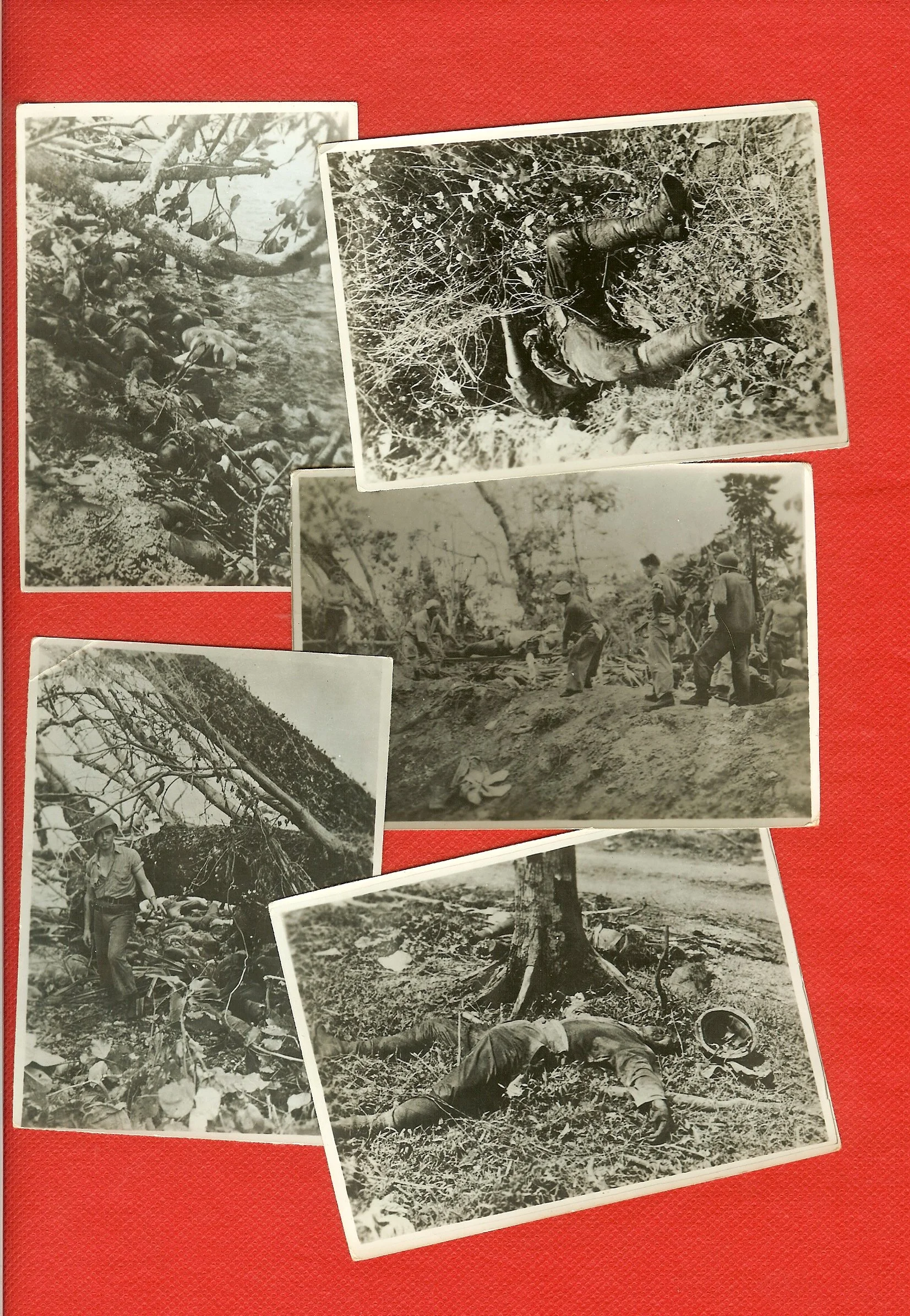 scan0024.jpg