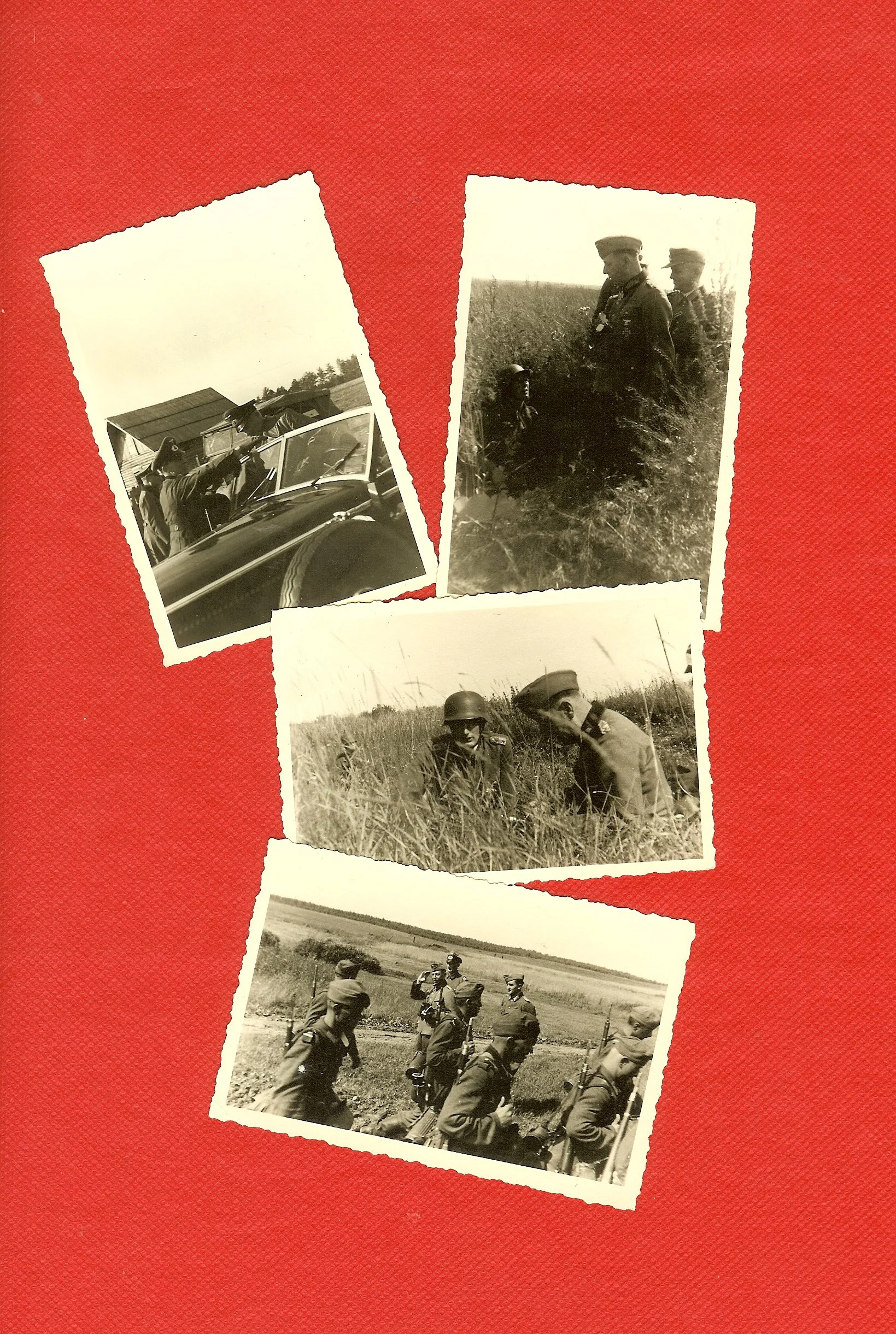 scan0006.jpg
