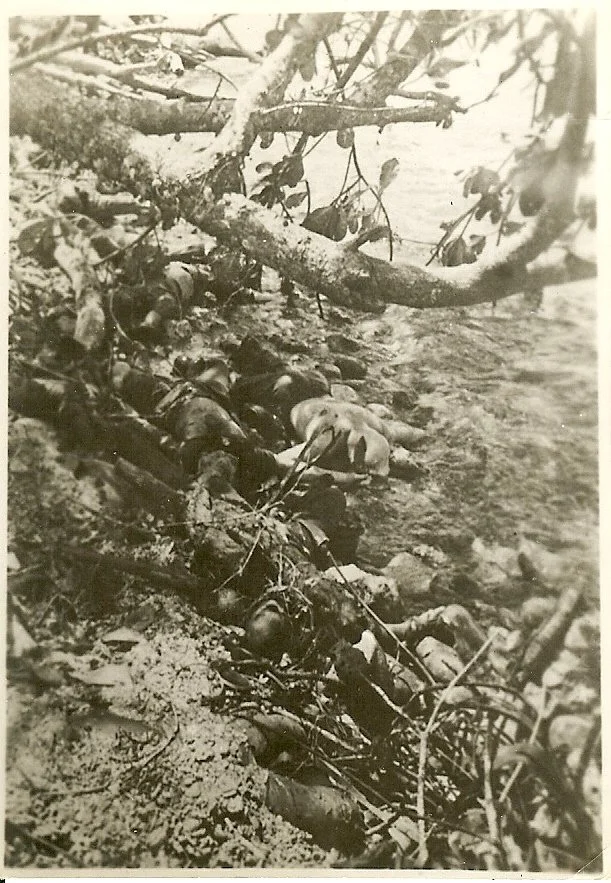 scan0024d.jpg