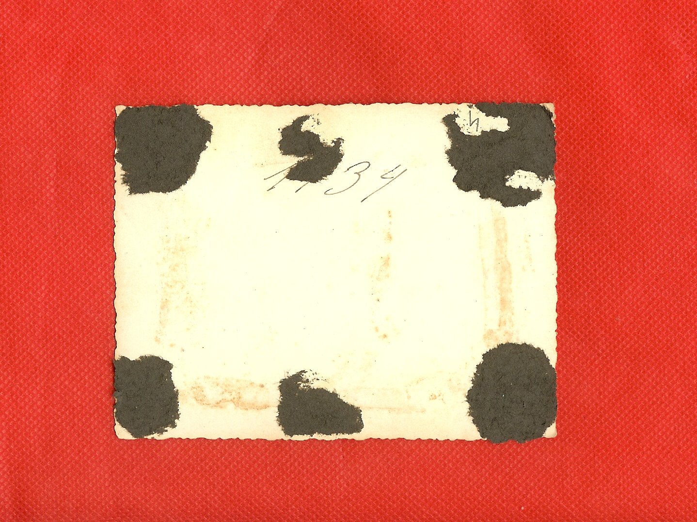 scan0011d.jpg