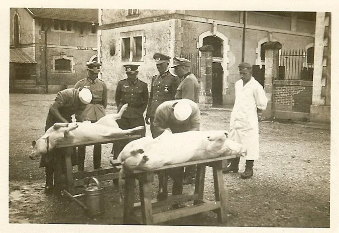 scan0003b.jpg