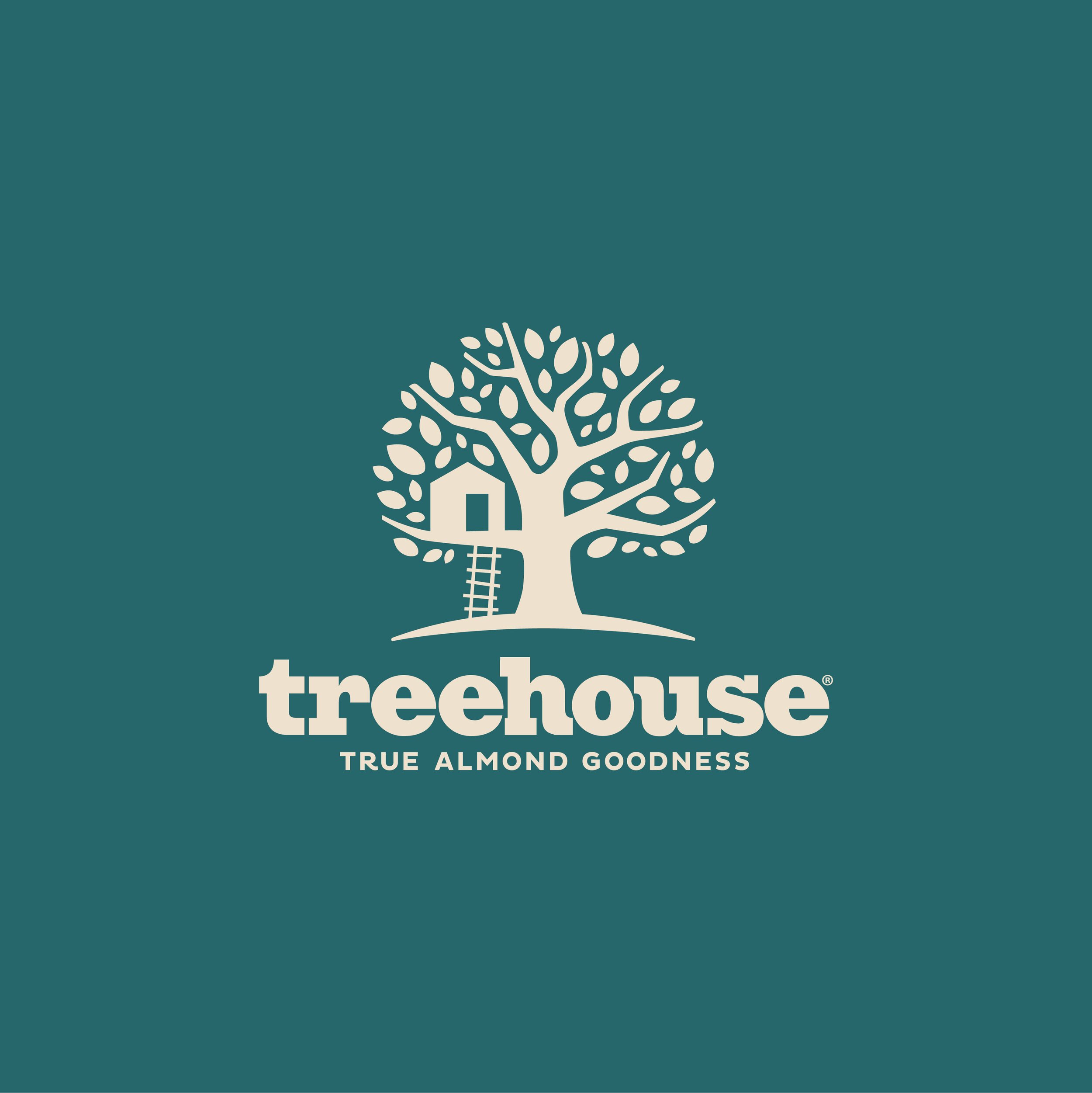 Treehouse_Social-Square_Asset+15.jpg