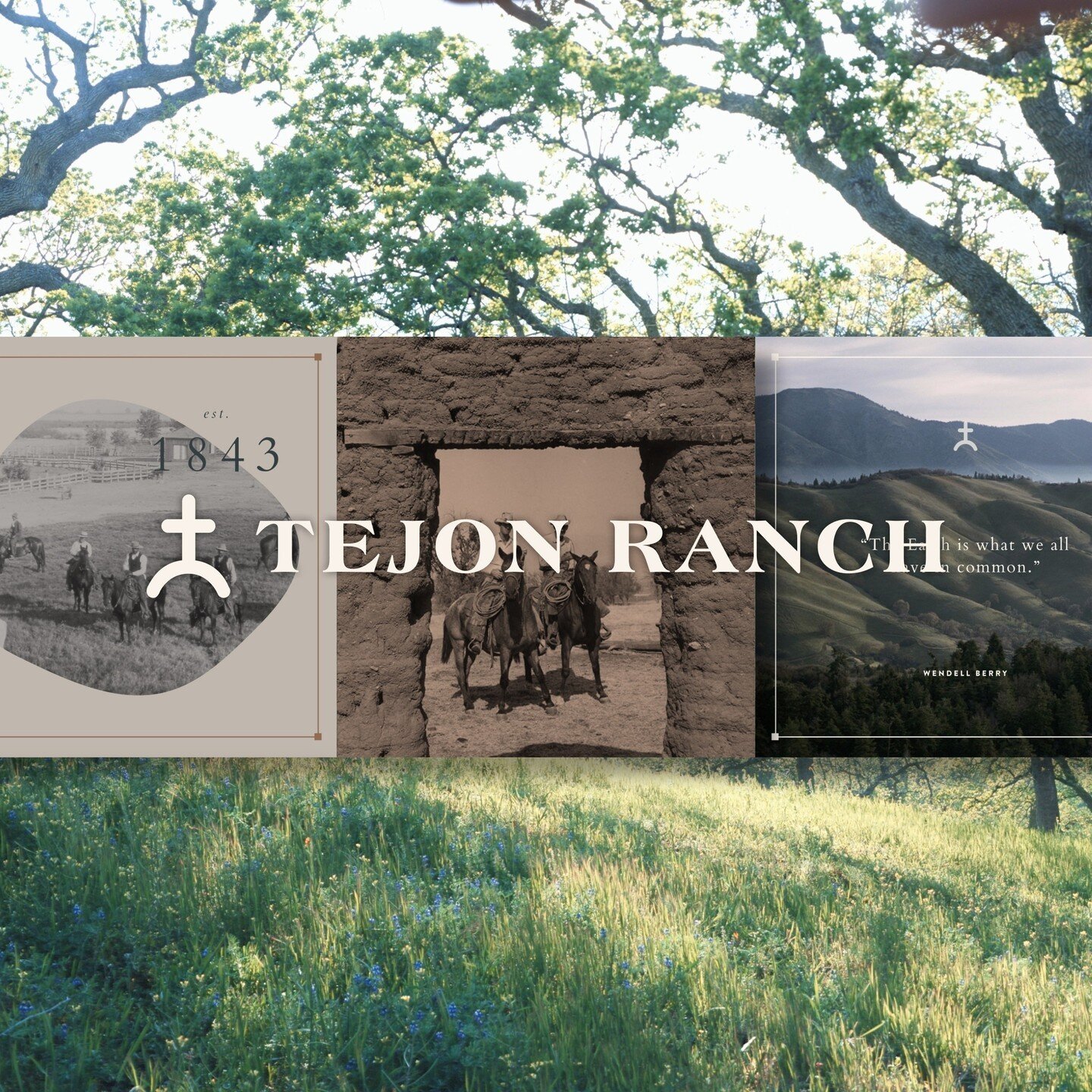 Working with Tejon Ranch to develop their social strategy and design direction over the past few months has been an amazing opportunity. We've been learning so much about the history of our region and the longstanding importance of Tejon Ranch in not