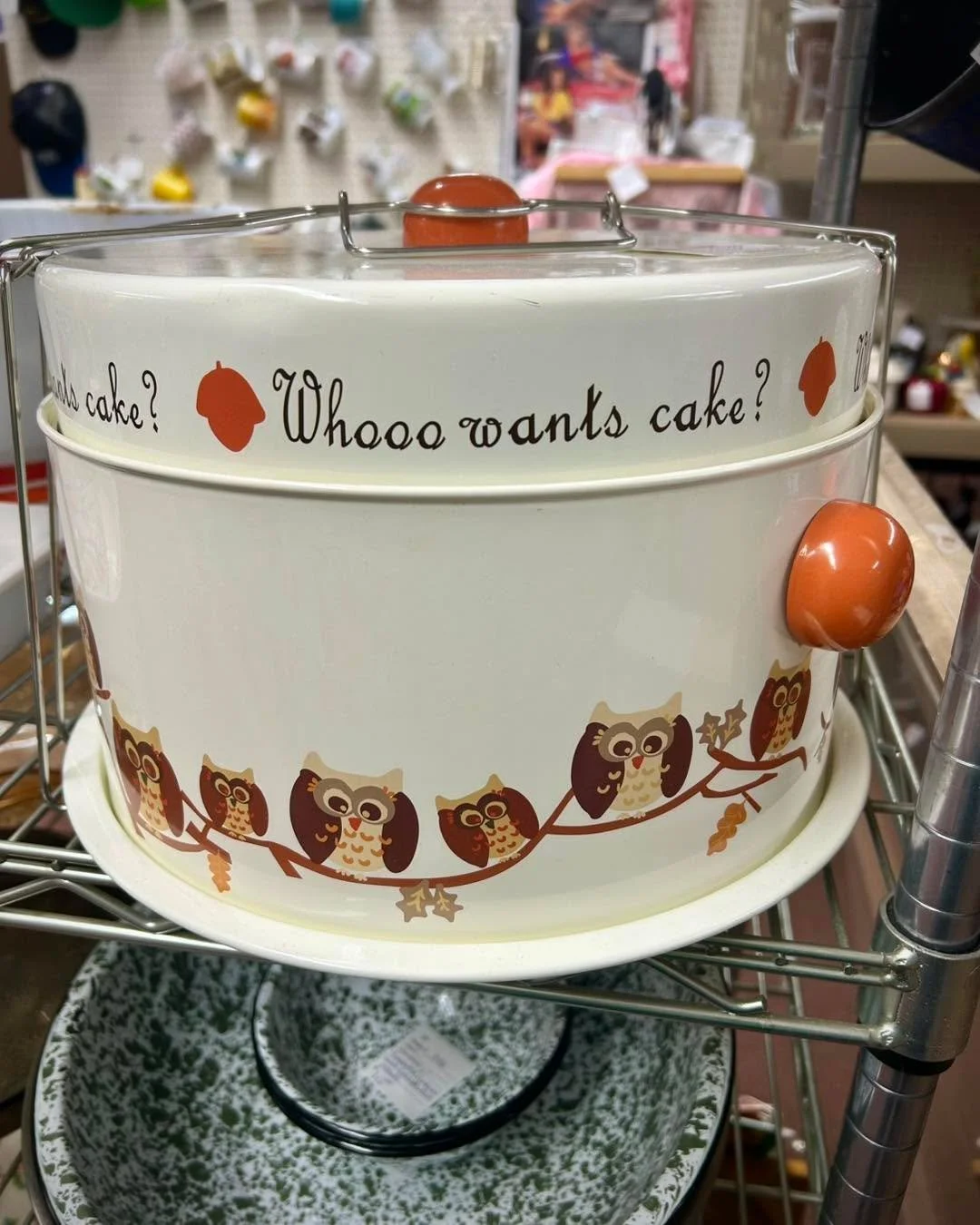 Bring your dessert to Thanksgiving dinner in style in this vintage owl cake carrier! 🦉 We&rsquo;re here for you from 10-5 today!