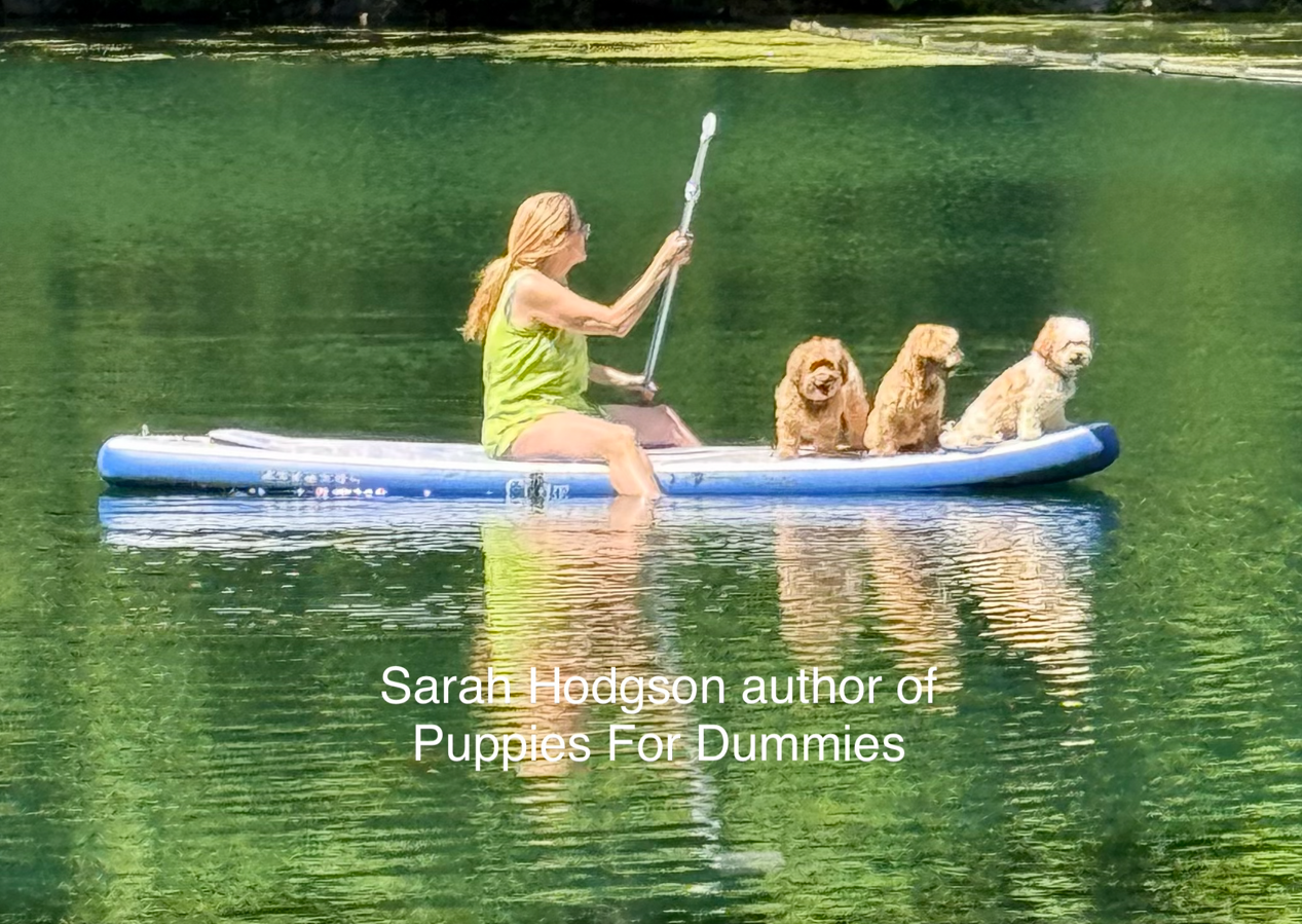 Sarah Hodgson.png