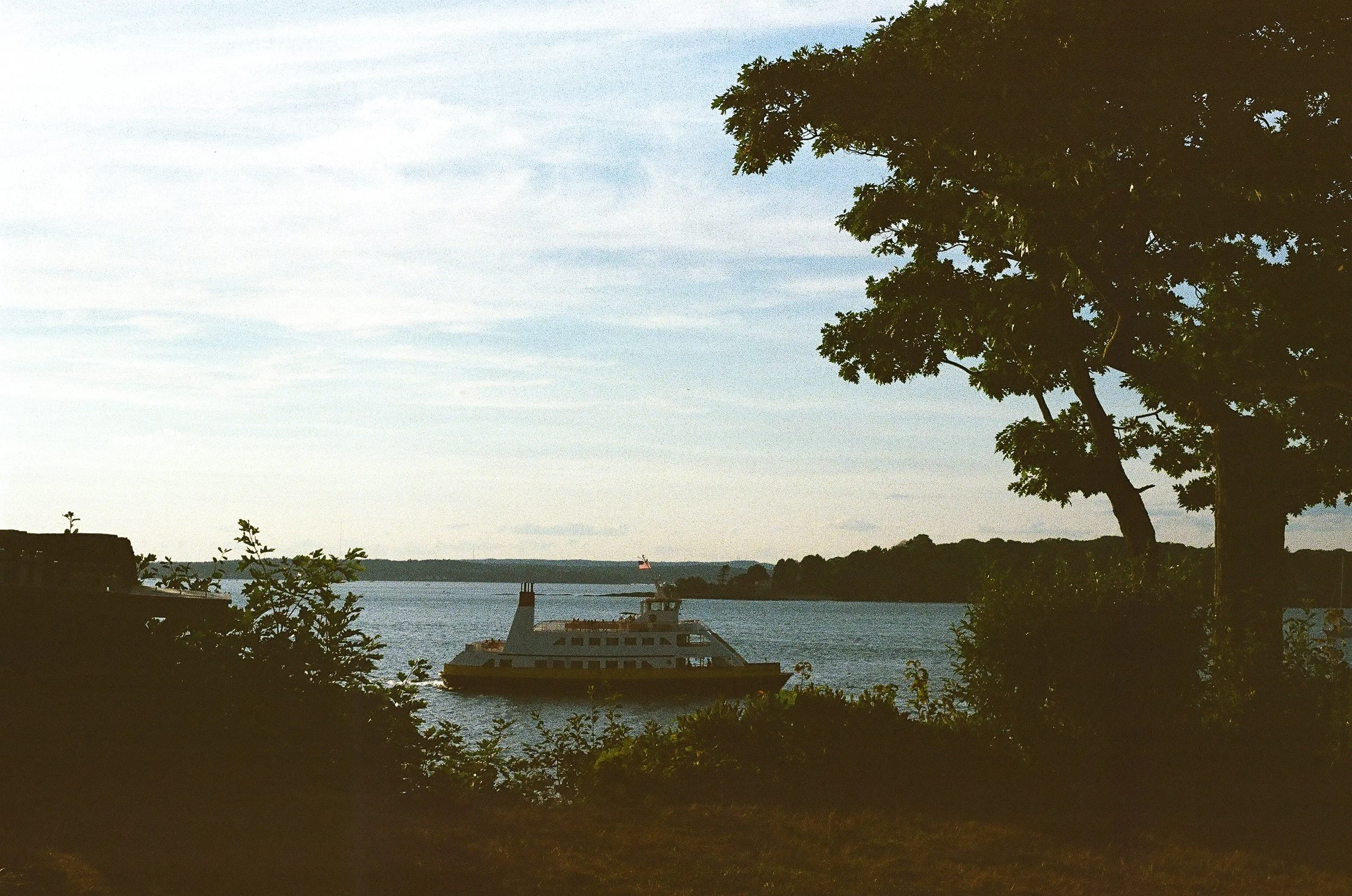 113.jpg