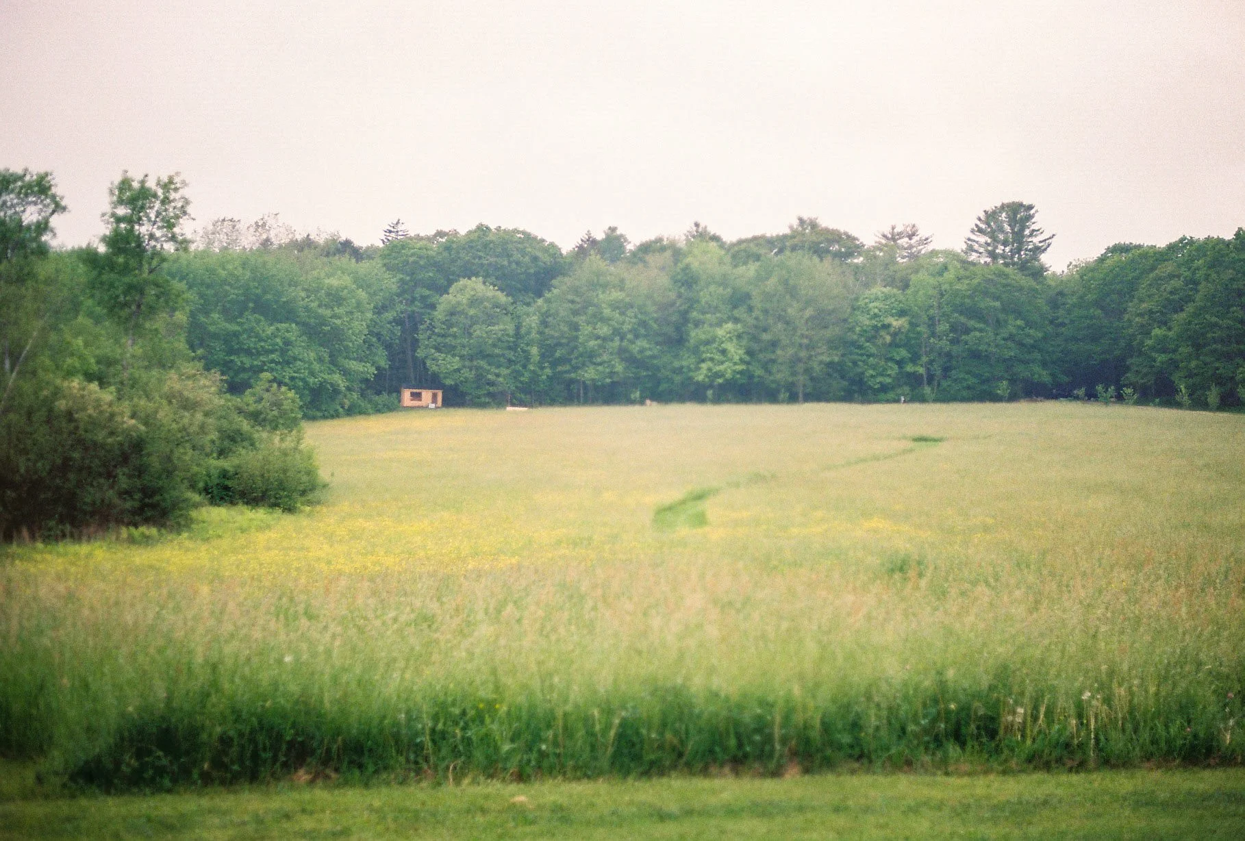 1-37.jpg