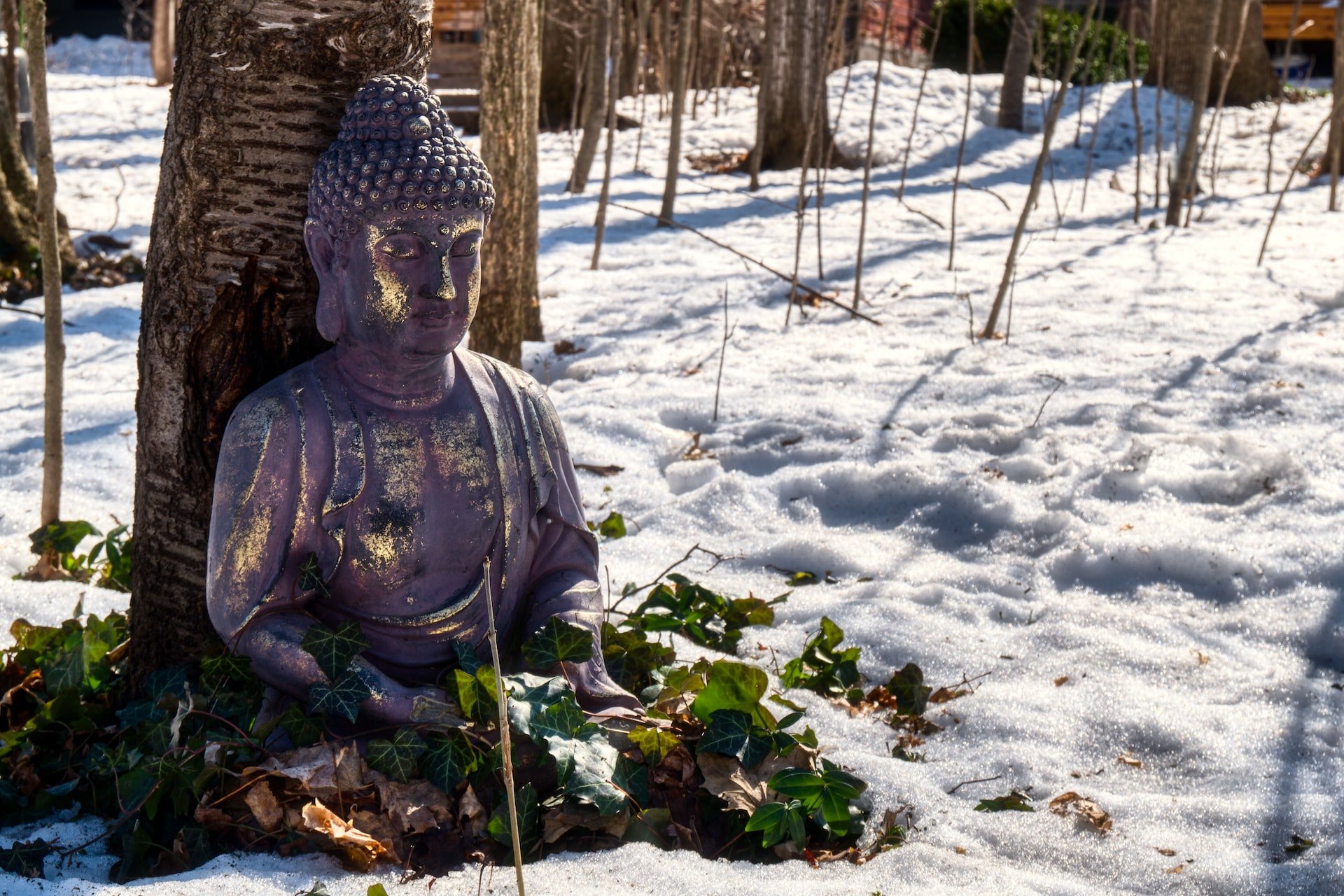 A Buddhist Carol