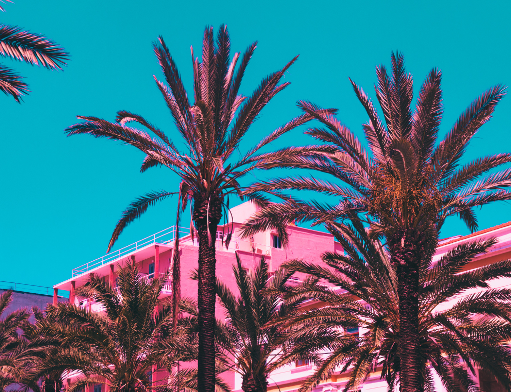 Two Rivers, a White Path, and the Hotel California (Part 2)