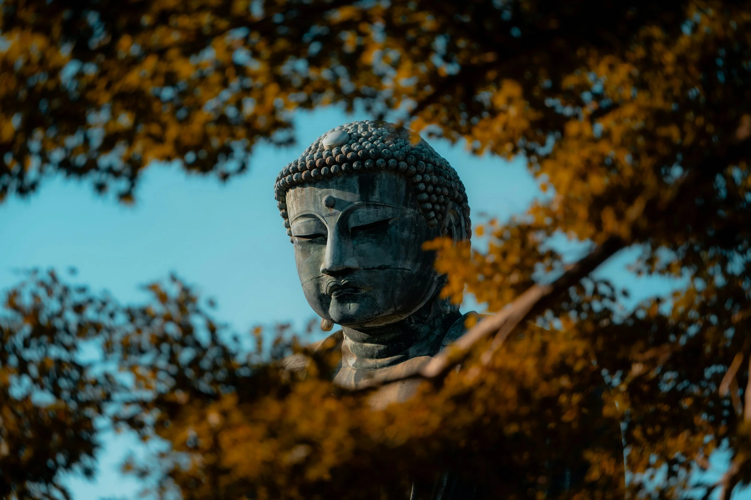 Live Event: What Makes Buddhism Buddhist?