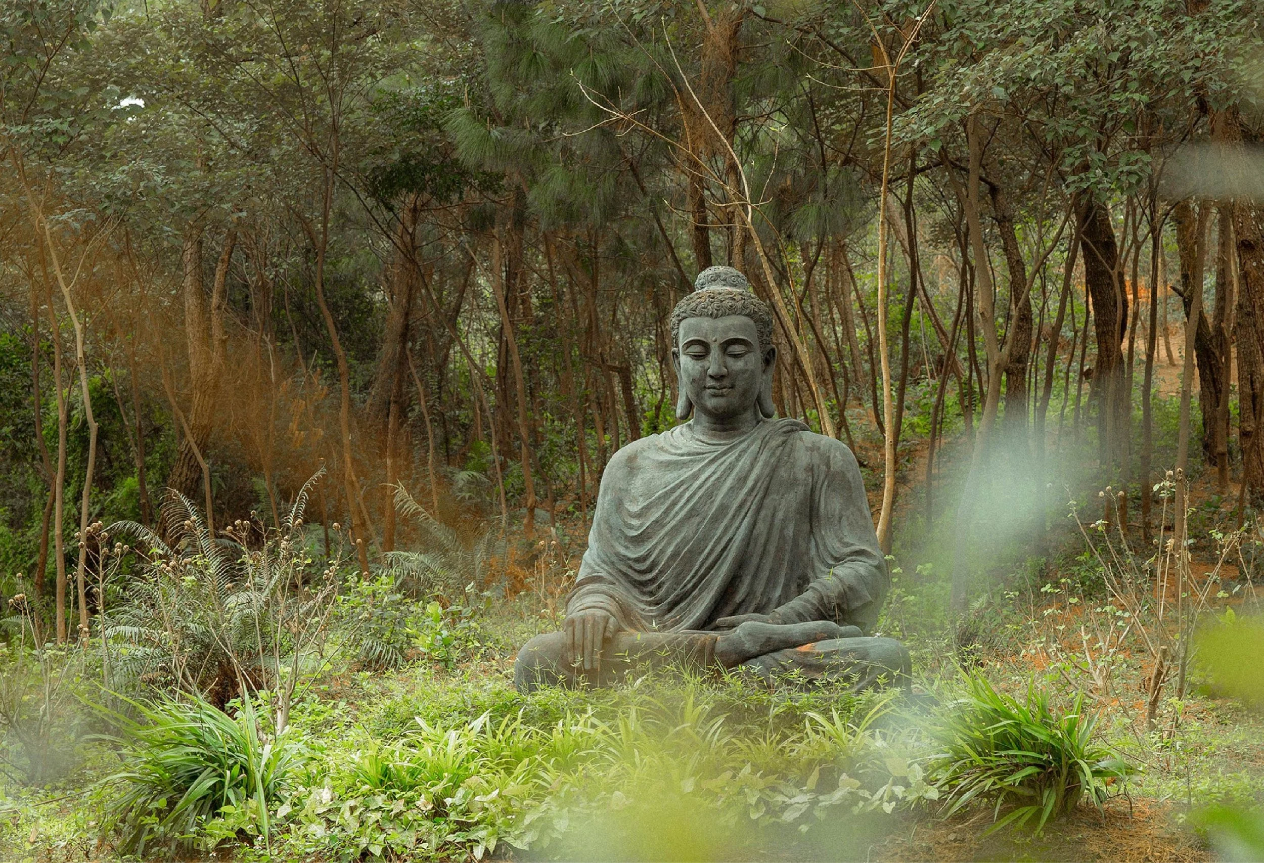 Meeting Amida: A Guided Meditation