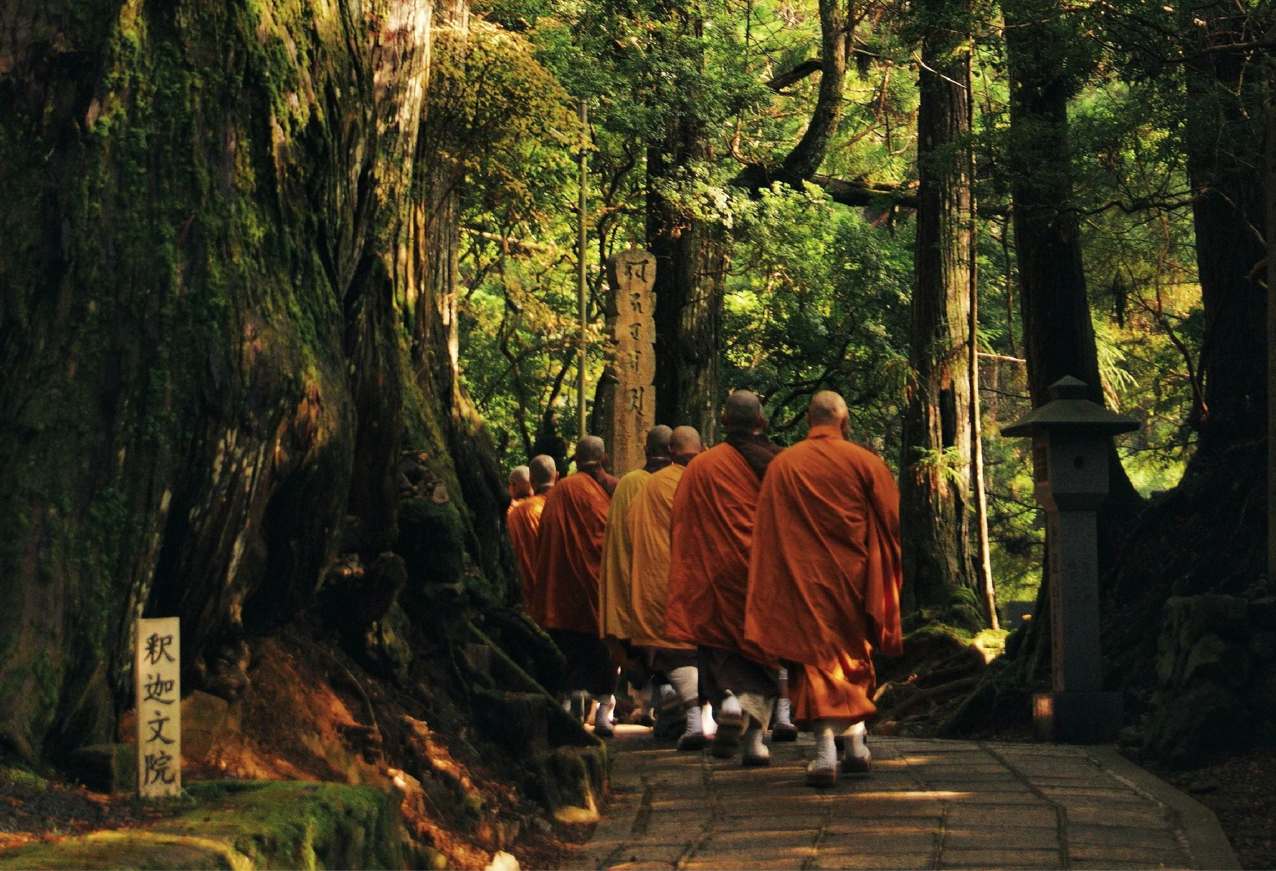 Part II: Practicing in a World Without a Living Buddha
