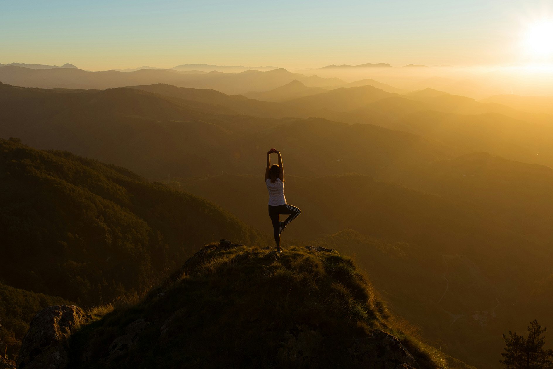 Live Event: Two Paths, One Journey: The Shared Wisdom of Yoga &amp; Buddhism