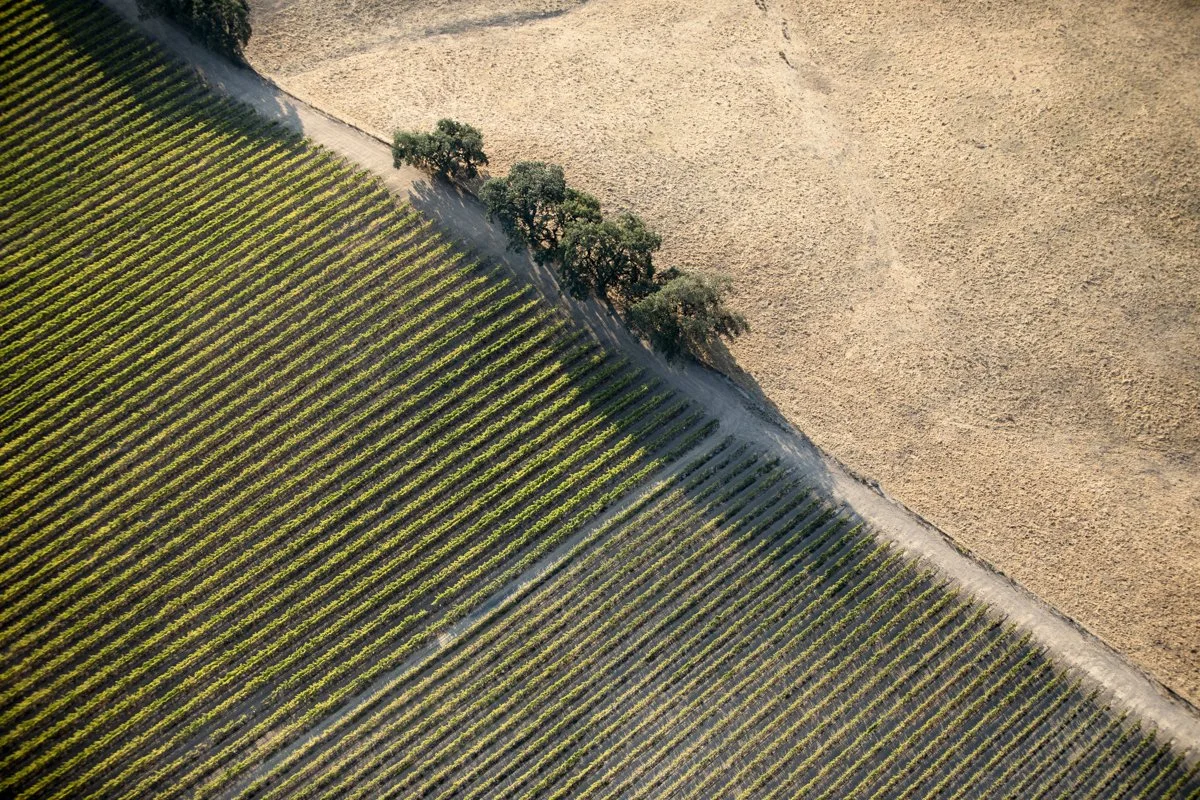 DQP_Legacy Collection_2025_0059.jpg