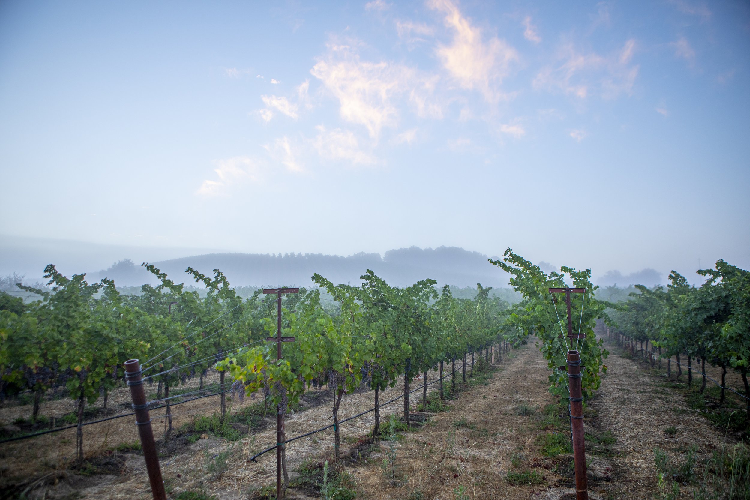 DQP_Legacy Collection_2025_0079.jpg