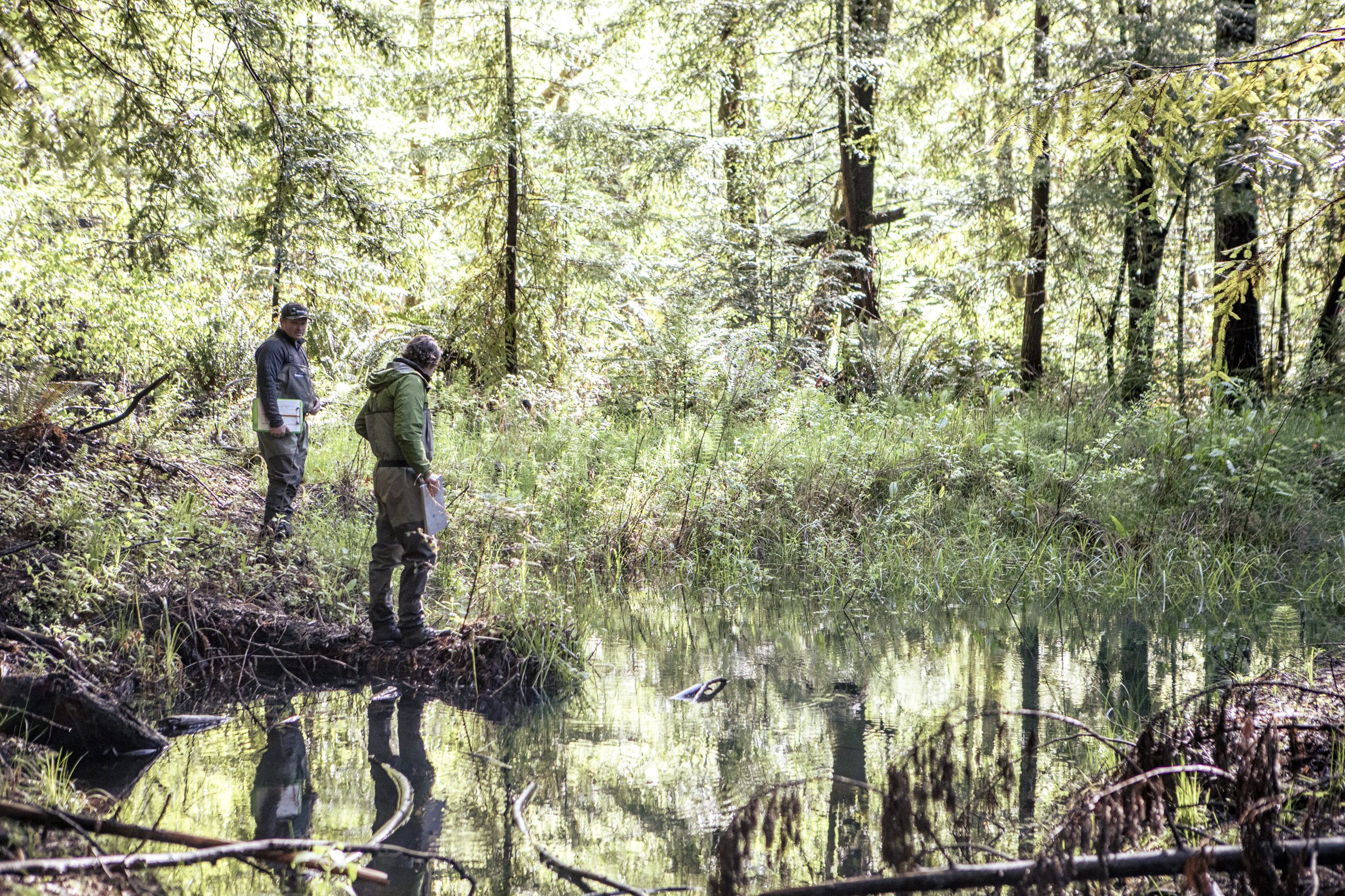 Quinones_D_MRCHRC Lawrence Creek_30463.jpg