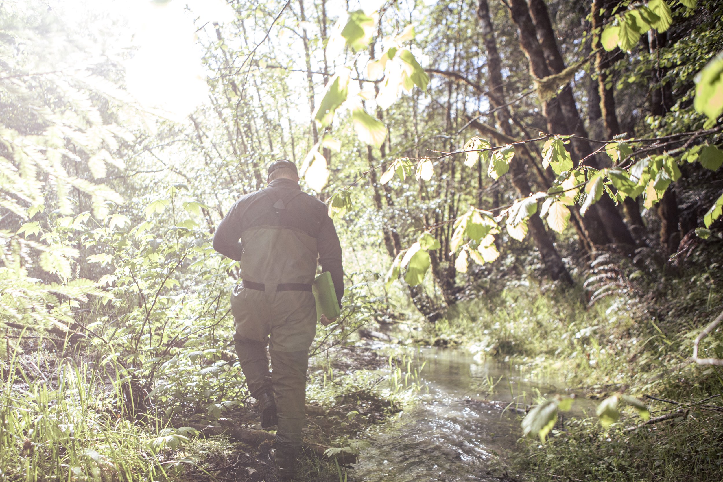 Quinones_D_MRCHRC Lawrence Creek_30513.jpg