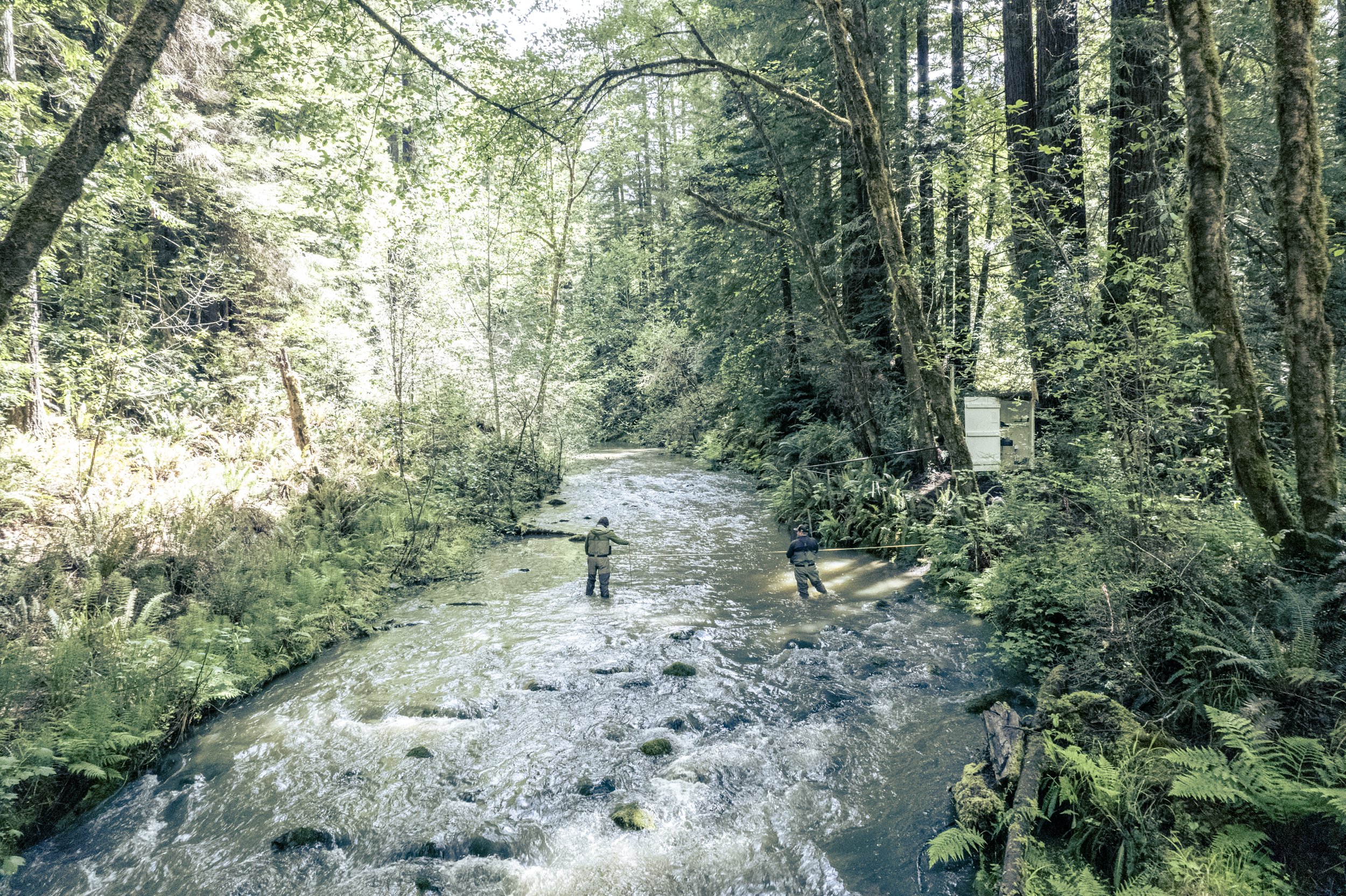Quinones_D_MRCHRC Lawrence Creek_30675.jpg