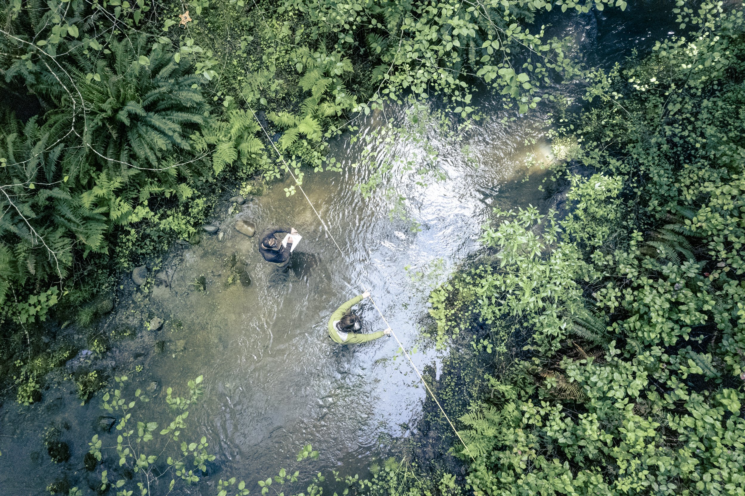 Humboldt Redwood Company:  Lawrence Creek Fisheries Restoration