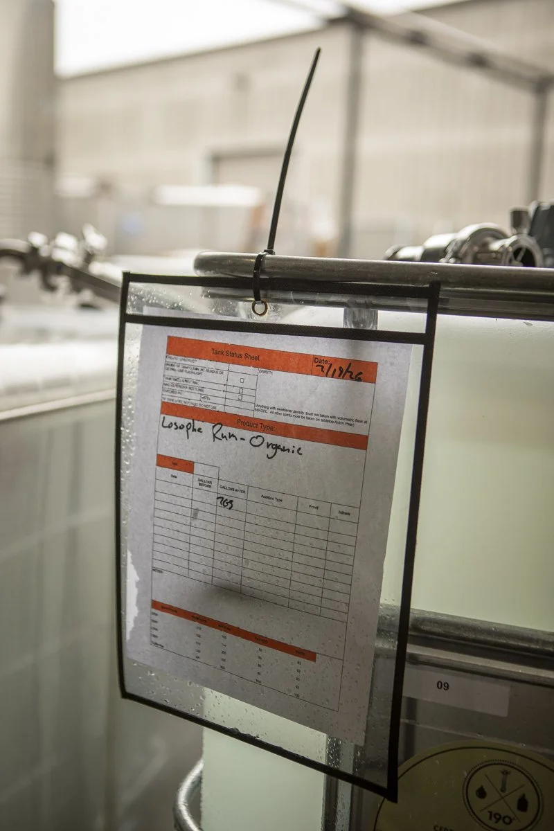 PINE_Losophe_Corning and Company_43762.jpg