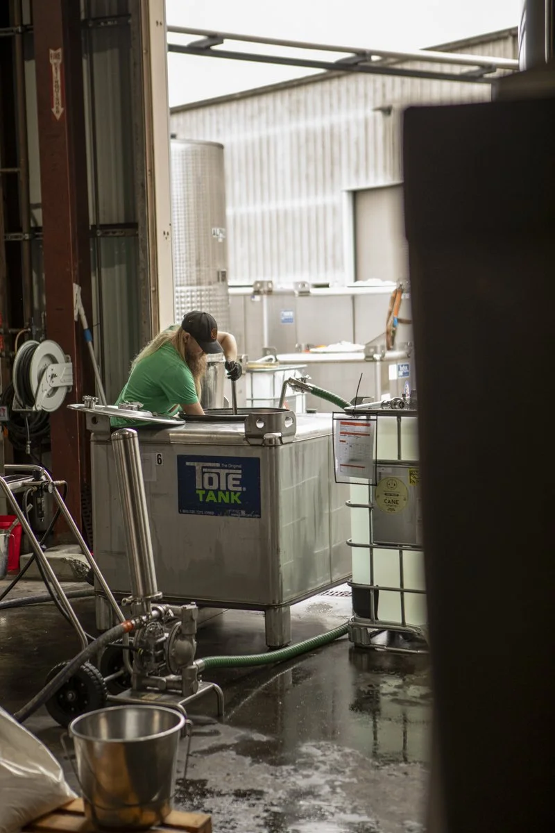 PINE_Losophe_Corning and Company_43827.jpg