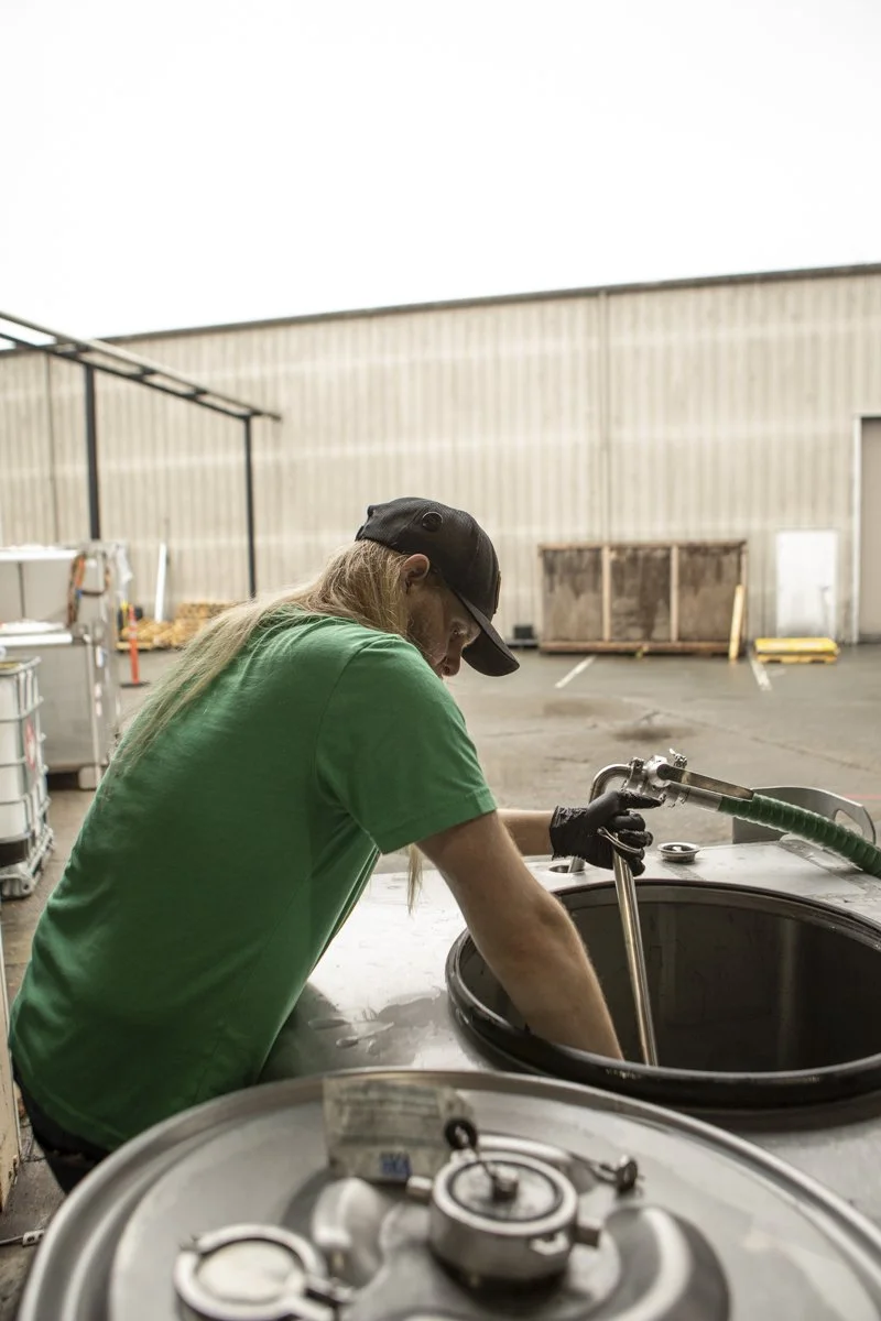 PINE_Losophe_Corning and Company_43856.jpg