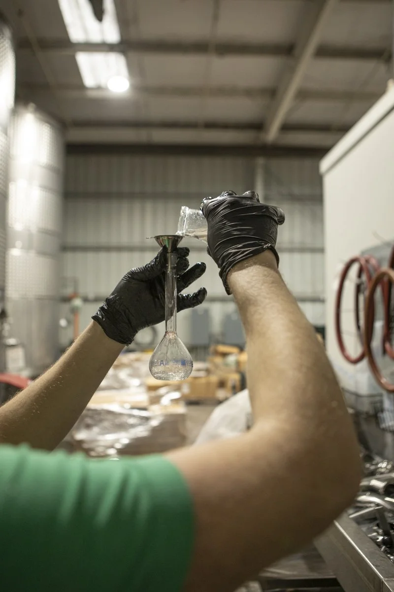 PINE_Losophe_Corning and Company_43901.jpg