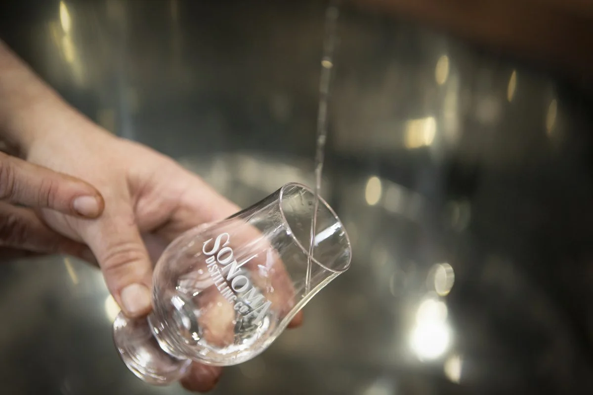 PINE_Dan Quinones_Corning and Company_1097.jpg