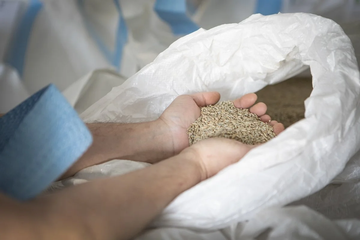 PINE_Dan Quinones_Corning and Company_1140.jpg