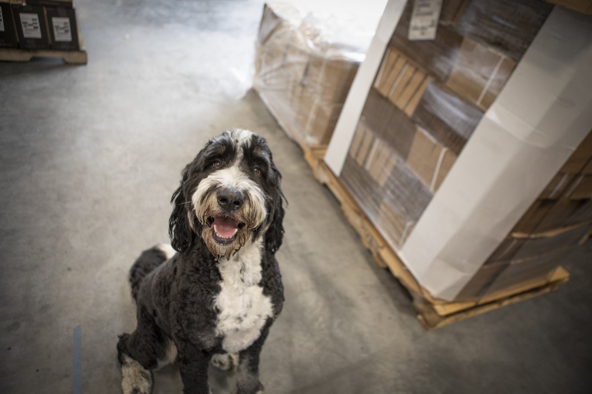 PINE_Dan Quinones_Corning and Company_1458.jpg