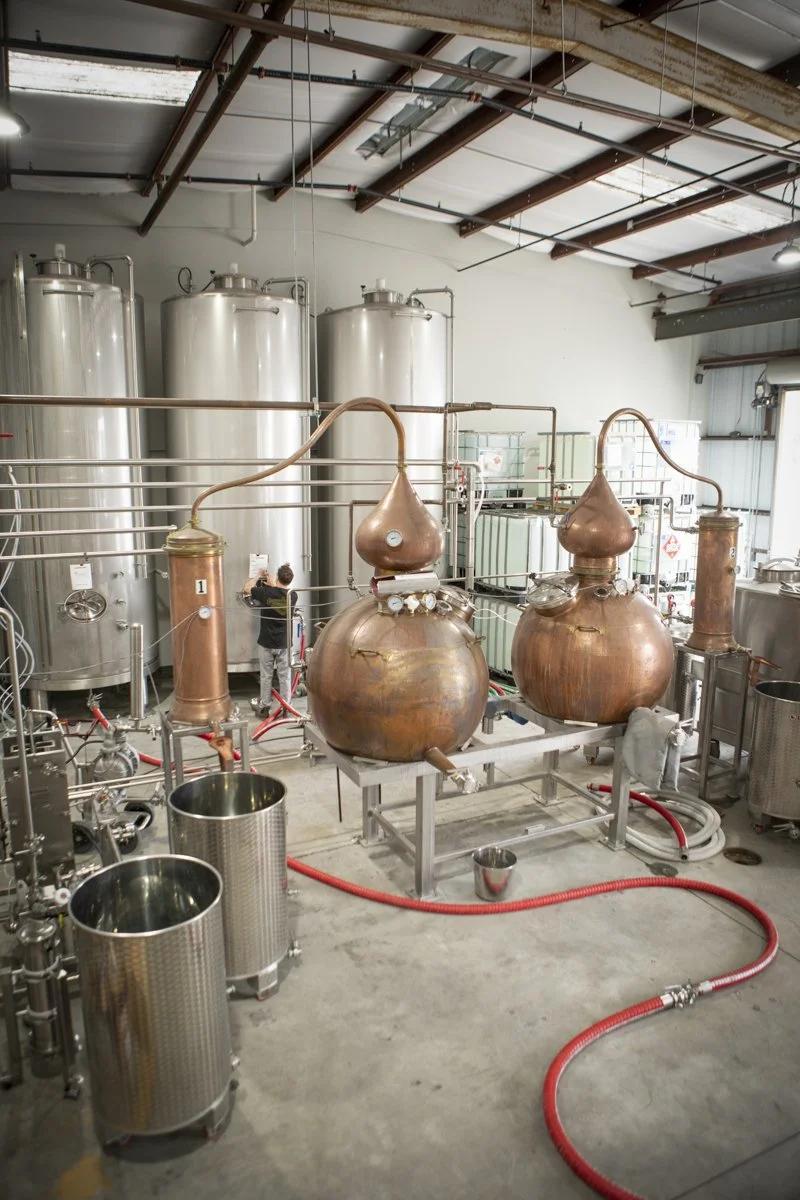 PINE_Dan Quinones_Corning and Company_1508.jpg