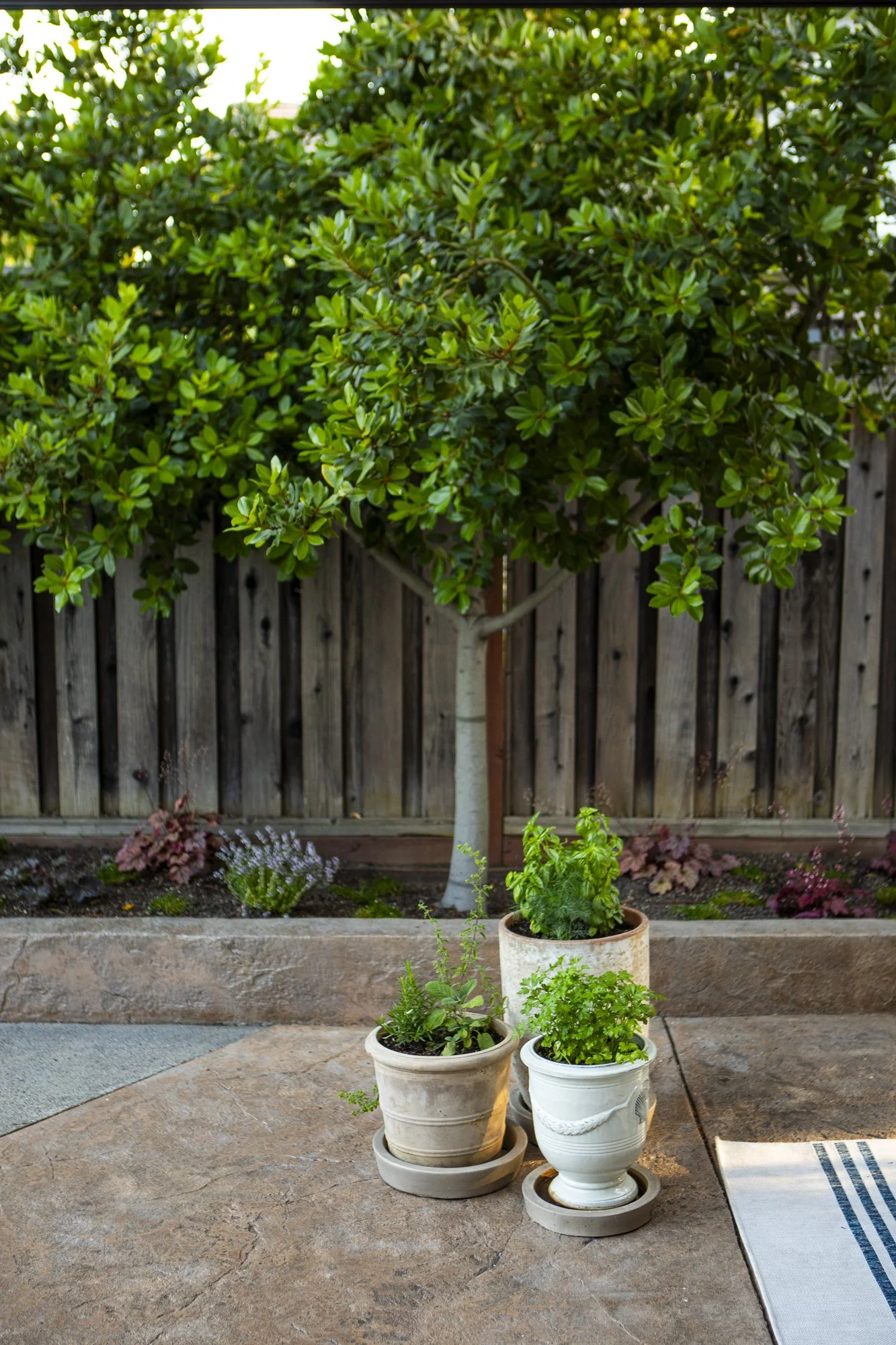 PINE_MHG_Italian Poolside Retreat_Low Res_0004.jpg