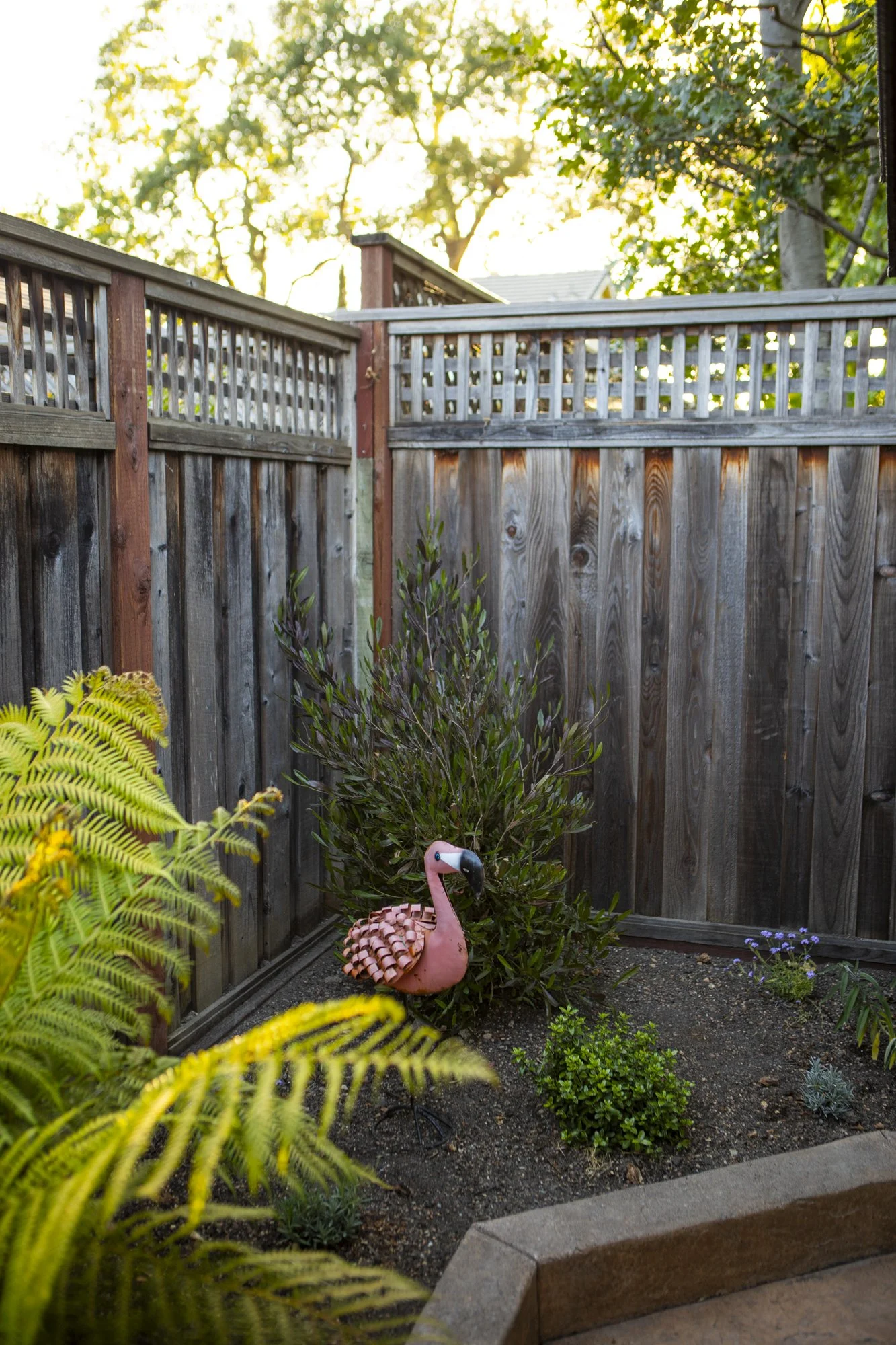 PINE_MHG_Italian Poolside Retreat_Low Res_0019.jpg