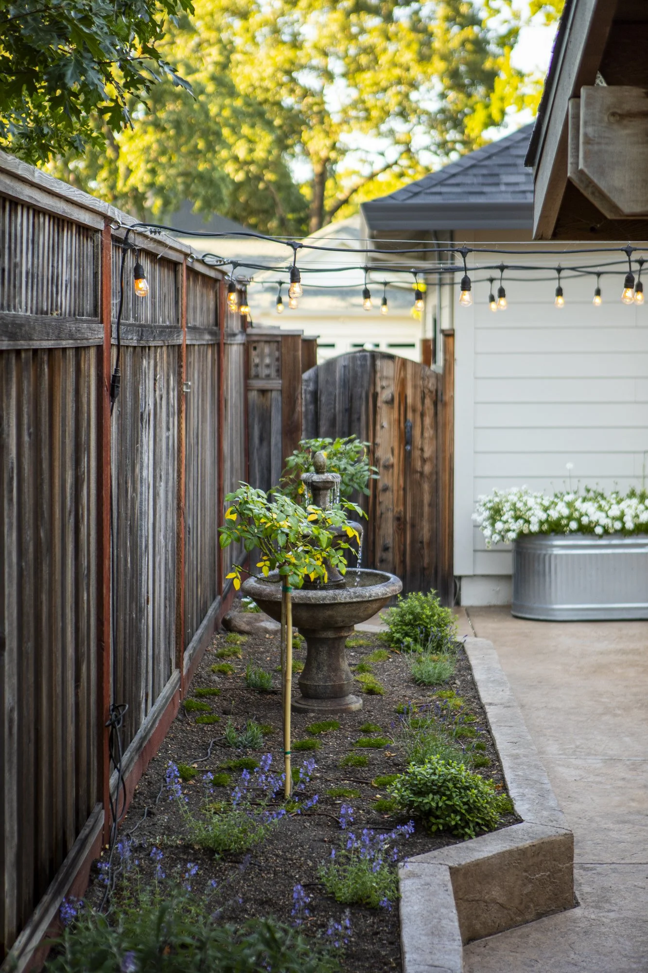 PINE_MHG_Italian Poolside Retreat_Low Res_0020.jpg