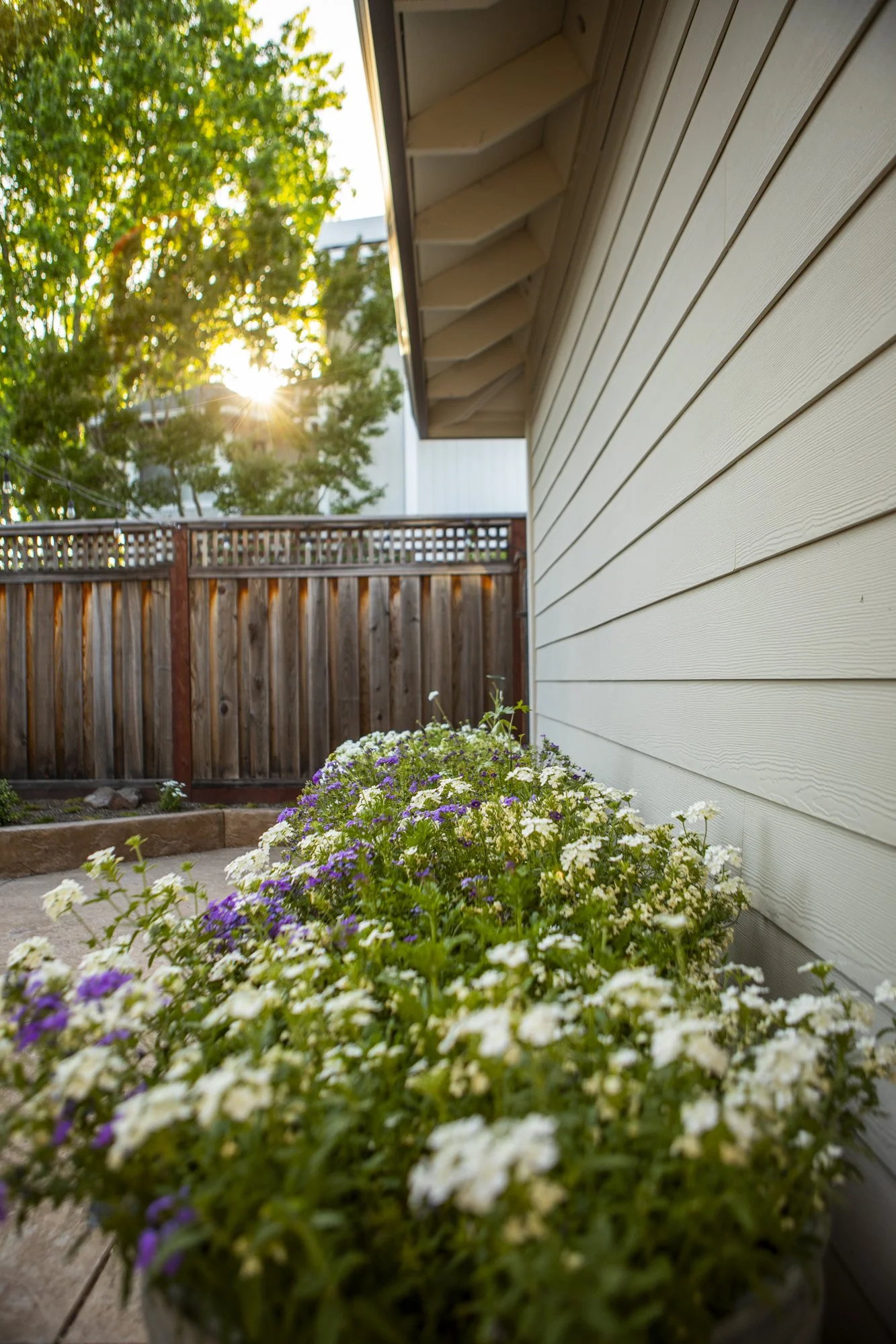 PINE_MHG_Italian Poolside Retreat_Low Res_0024.jpg