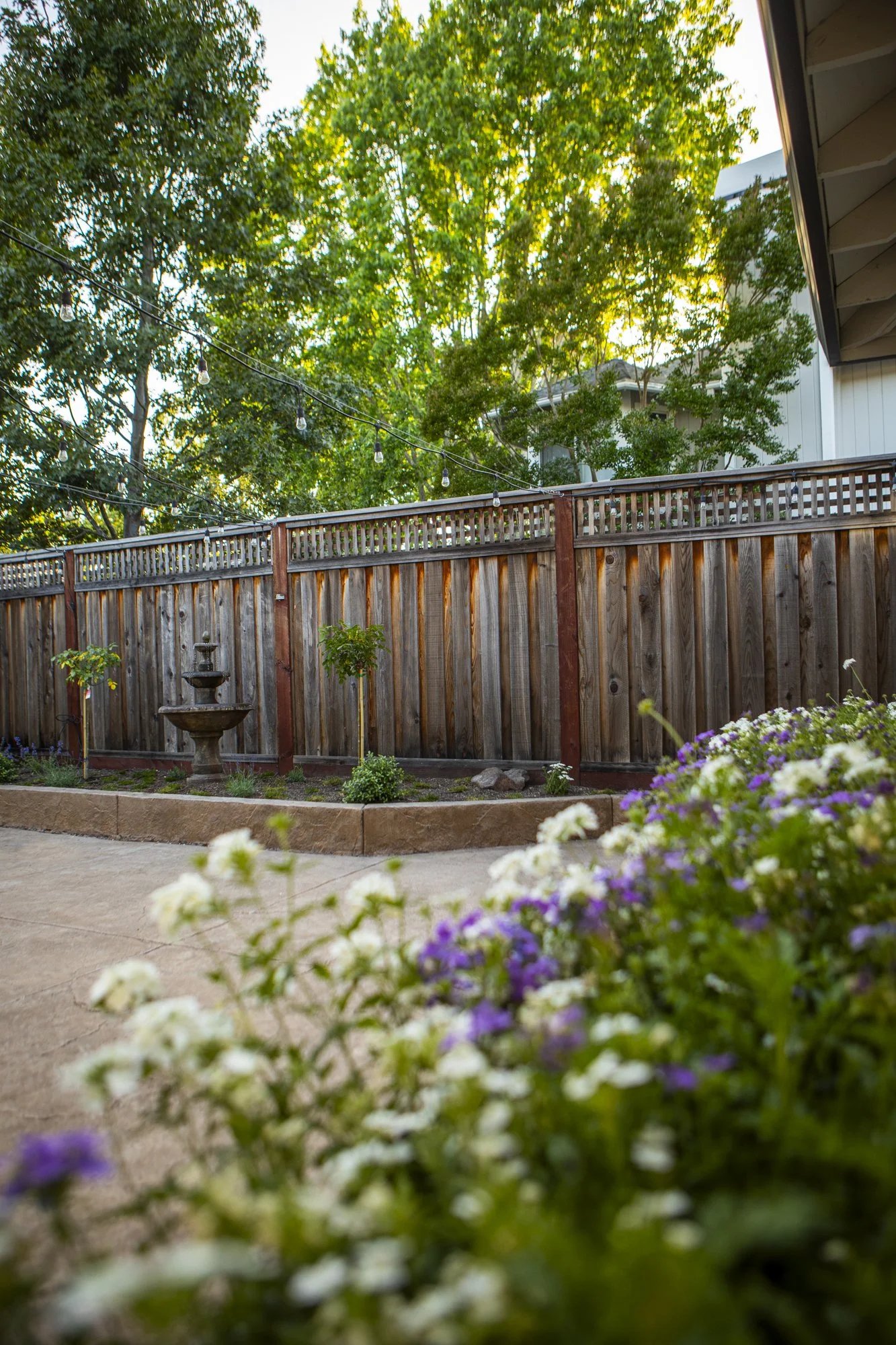 PINE_MHG_Italian Poolside Retreat_Low Res_0023.jpg